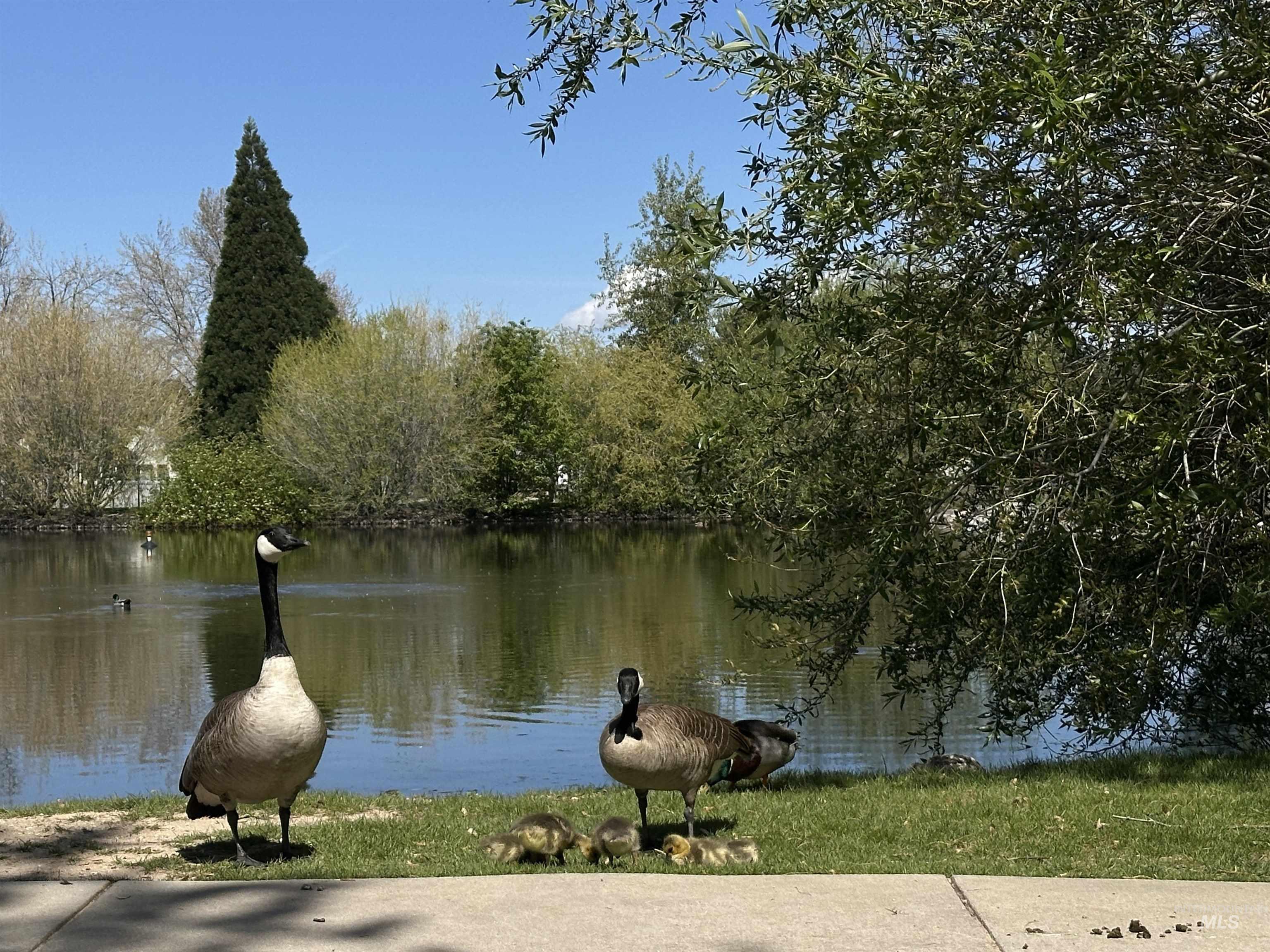 11237 W W Abram, Boise, Idaho 83713, 6 Bedrooms, 3.5 Bathrooms, Residential For Sale, Price $530,000, 98984080