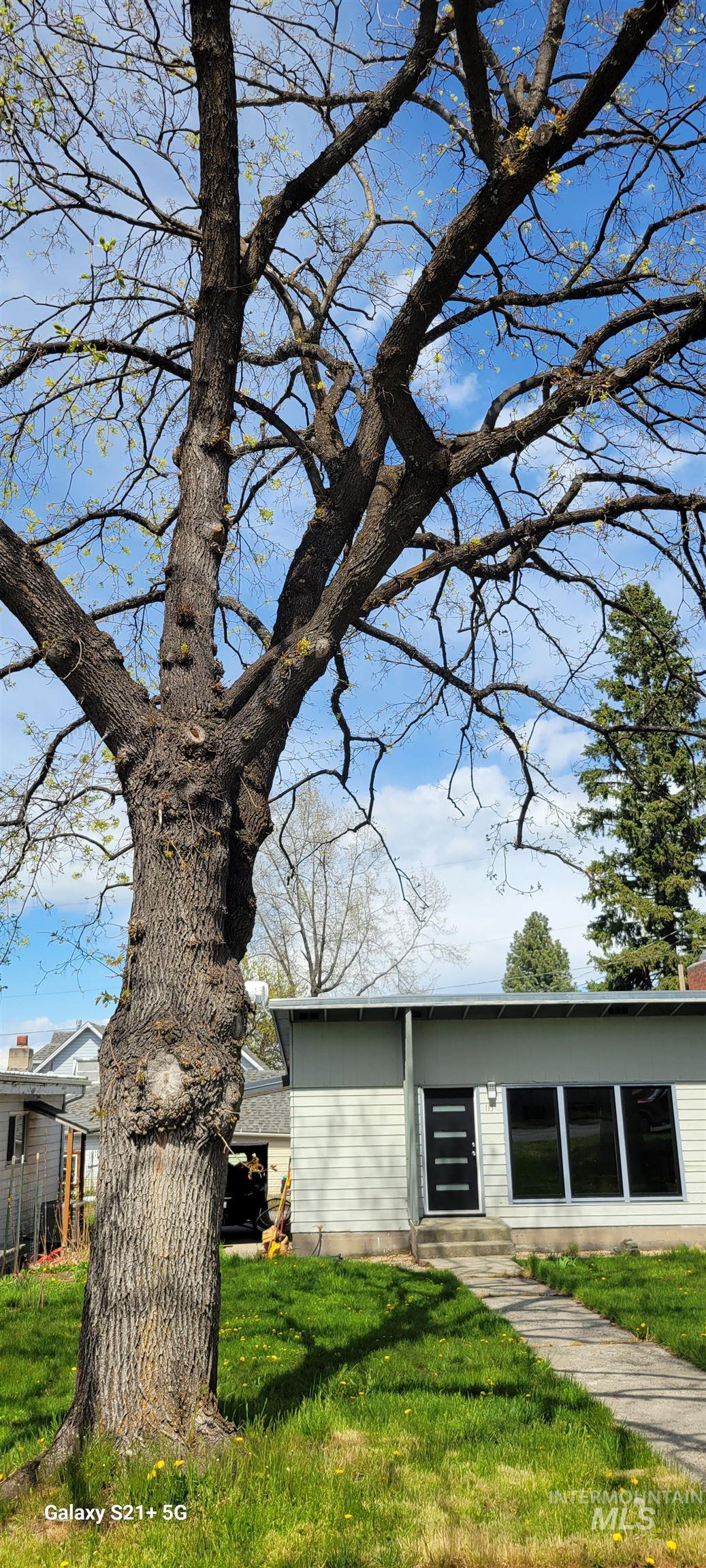 113 E South 2nd St., Grangeville, Idaho 83530, 1 Bedroom, 1 Bathroom, Residential For Sale, Price $225,000, 98984086