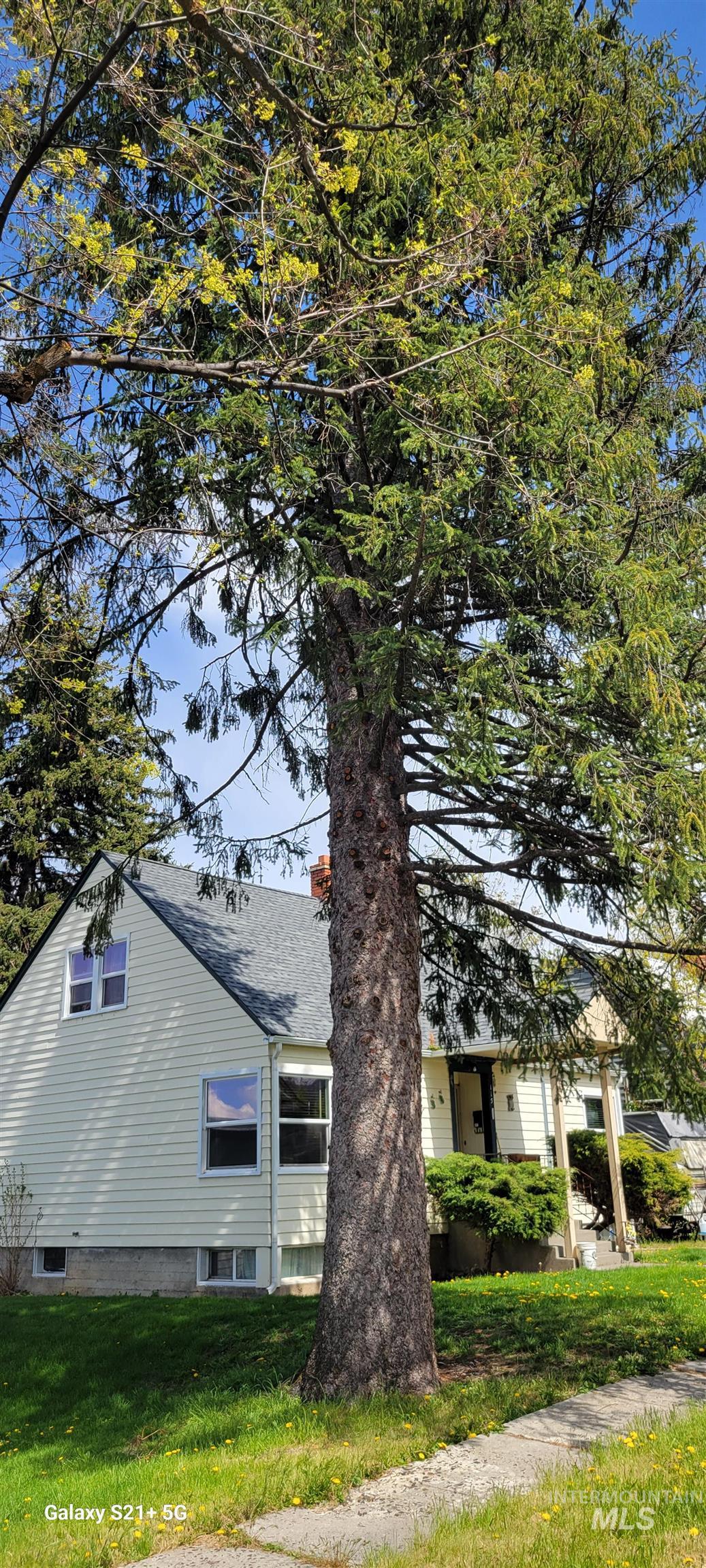 113 E South 2nd St., Grangeville, Idaho 83530, 1 Bedroom, 1 Bathroom, Residential For Sale, Price $225,000, 98984086