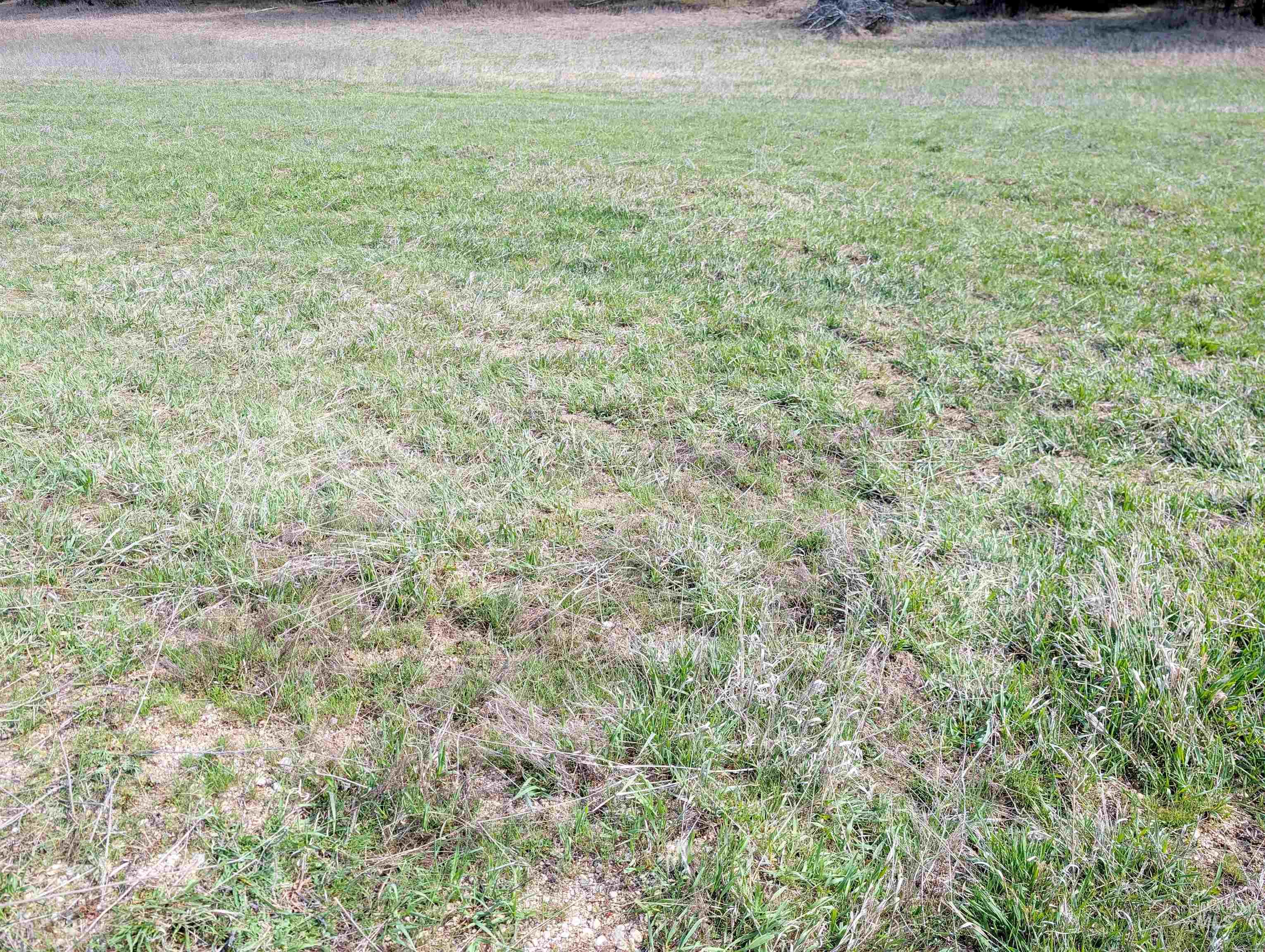 11100 Bens Rd, Cascade, Idaho 83611, 6 Bedrooms, 4 Bathrooms, Residential For Sale, Price $599,000, 98984093