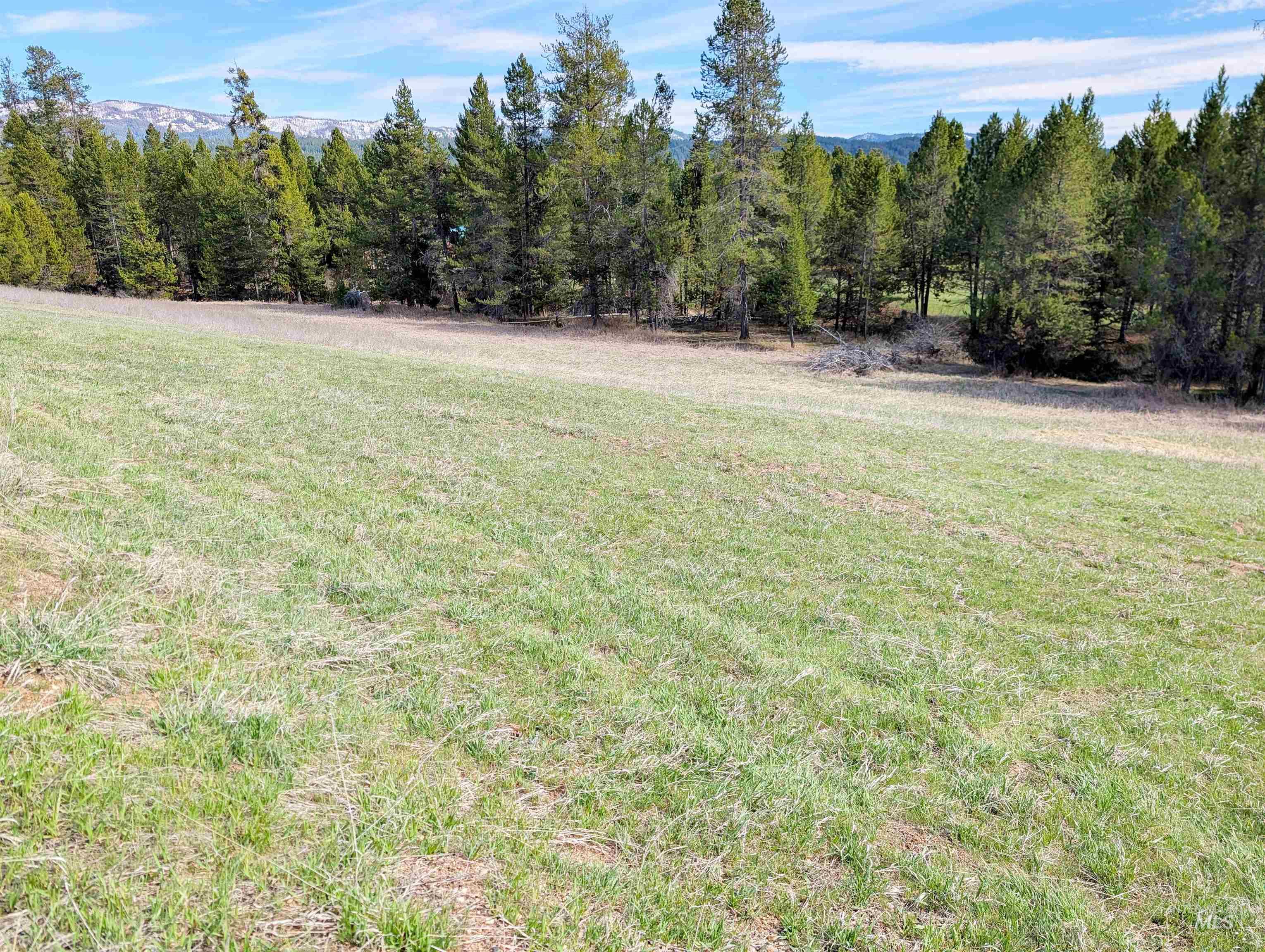 11100 Bens Rd, Cascade, Idaho 83611, 6 Bedrooms, 4 Bathrooms, Residential For Sale, Price $599,000, 98984093