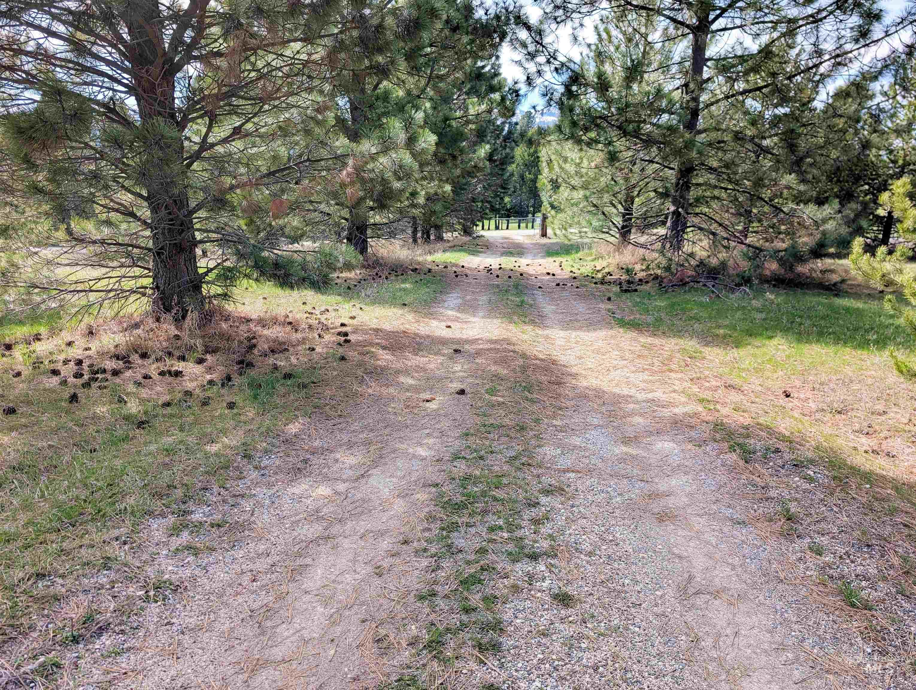 11100 Bens Rd, Cascade, Idaho 83611, 6 Bedrooms, 4 Bathrooms, Residential For Sale, Price $599,000, 98984093