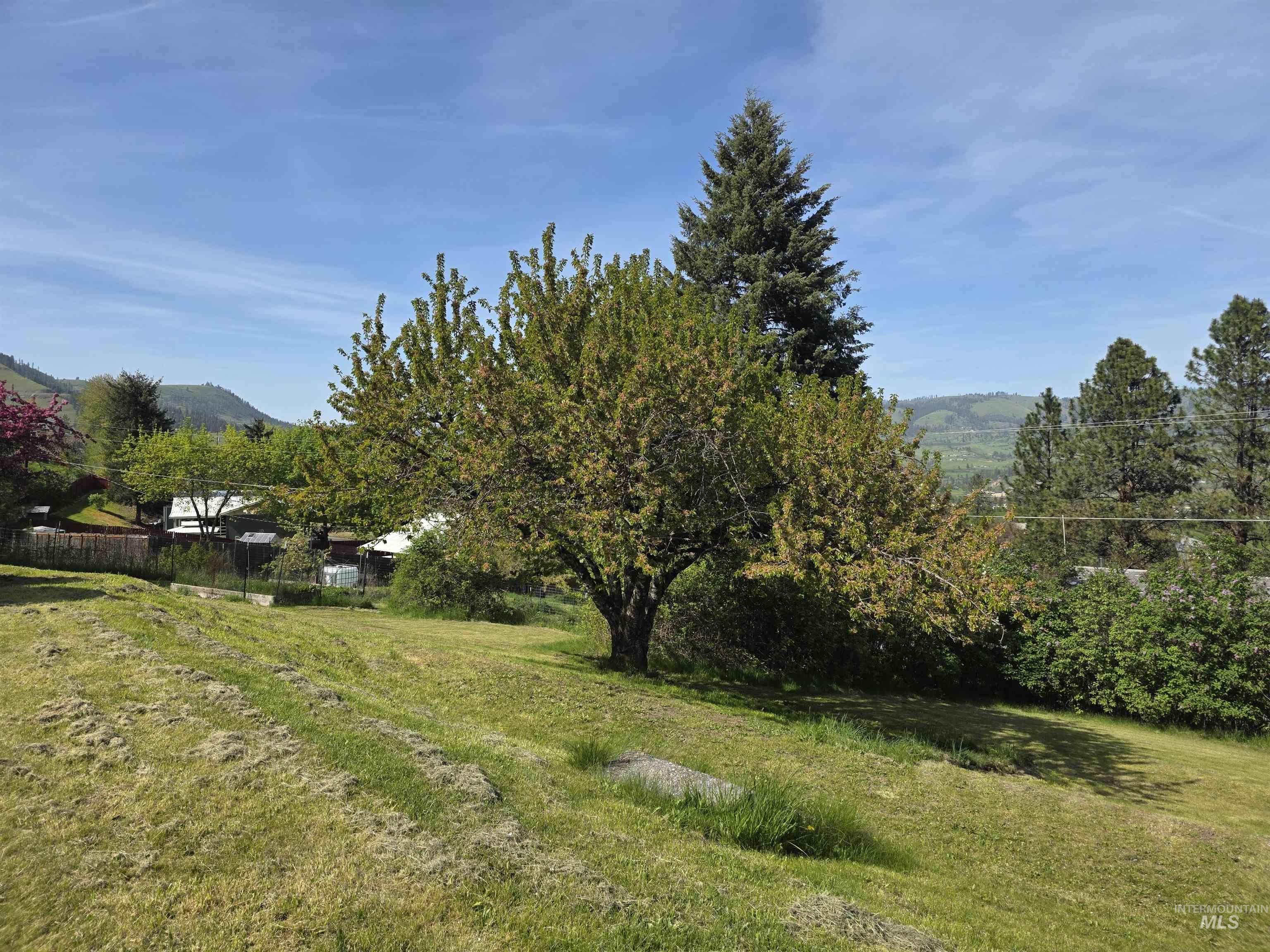 223 Larch Rd, Kamiah, Idaho 83536, 4 Bedrooms, 2 Bathrooms, Residential For Sale, Price $345,000, 98984098