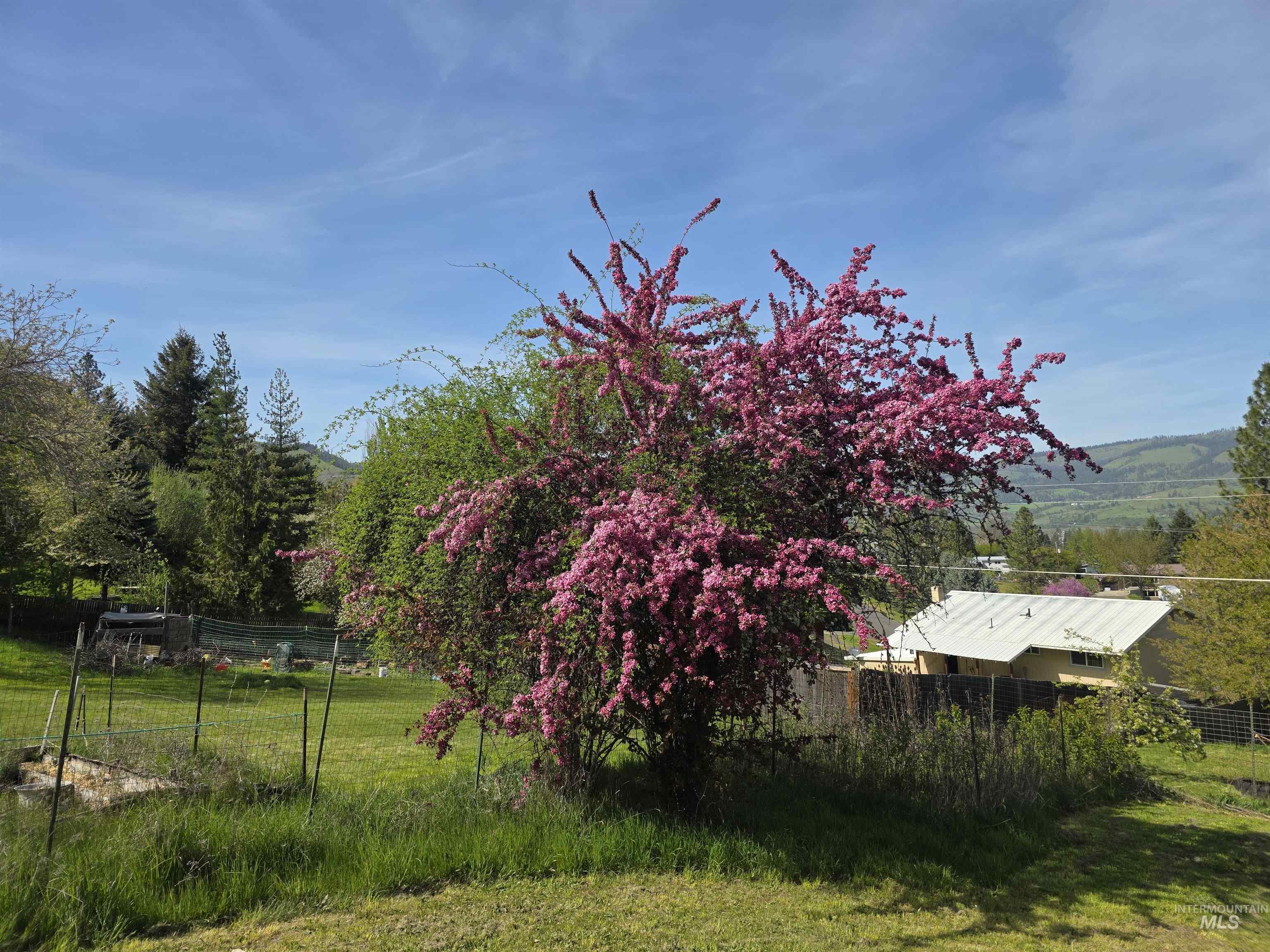 223 Larch Rd, Kamiah, Idaho 83536, 4 Bedrooms, 2 Bathrooms, Residential For Sale, Price $345,000, 98984098