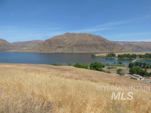 578 Silcott Road, Clarkston, Washington 99403, Land For Sale, Price $300,000,MLS 98984100