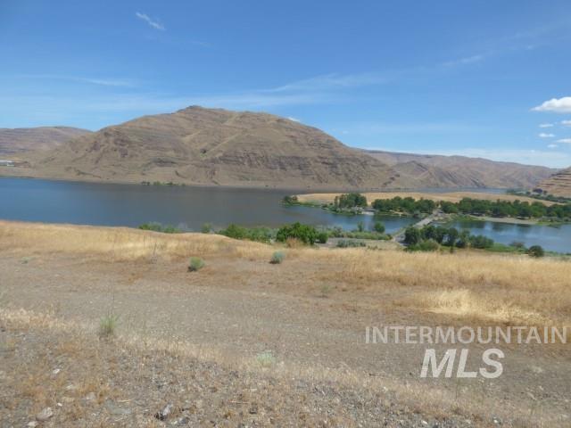 578 Silcott Road, Clarkston, Washington 99403, Land For Sale, Price $300,000,MLS 98984100