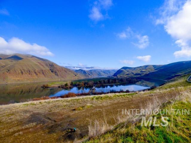 578 Silcott Road, Clarkston, Washington 99403, Land For Sale, Price $300,000,MLS 98984100