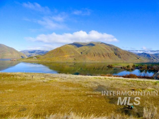 578 Silcott Road, Clarkston, Washington 99403, Land For Sale, Price $300,000,MLS 98984100