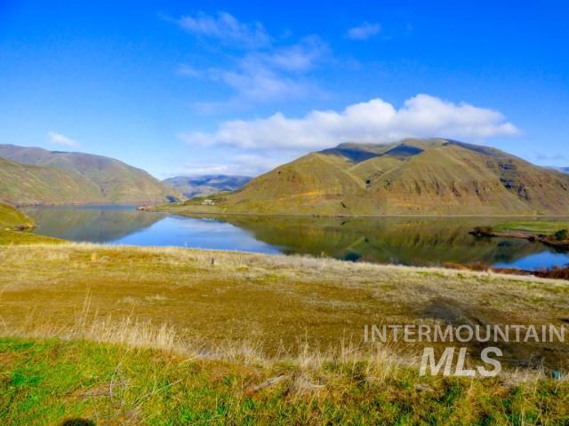 578 Silcott Road, Clarkston, Washington 99403, Land For Sale, Price $300,000,MLS 98984100