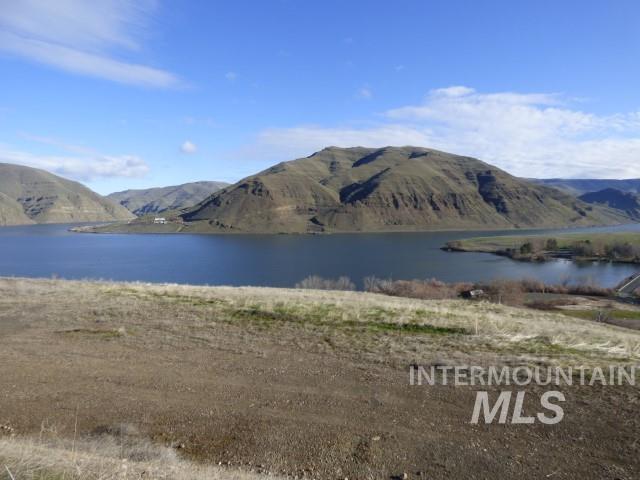 578 Silcott Road, Clarkston, Washington 99403, Land For Sale, Price $300,000,MLS 98984100