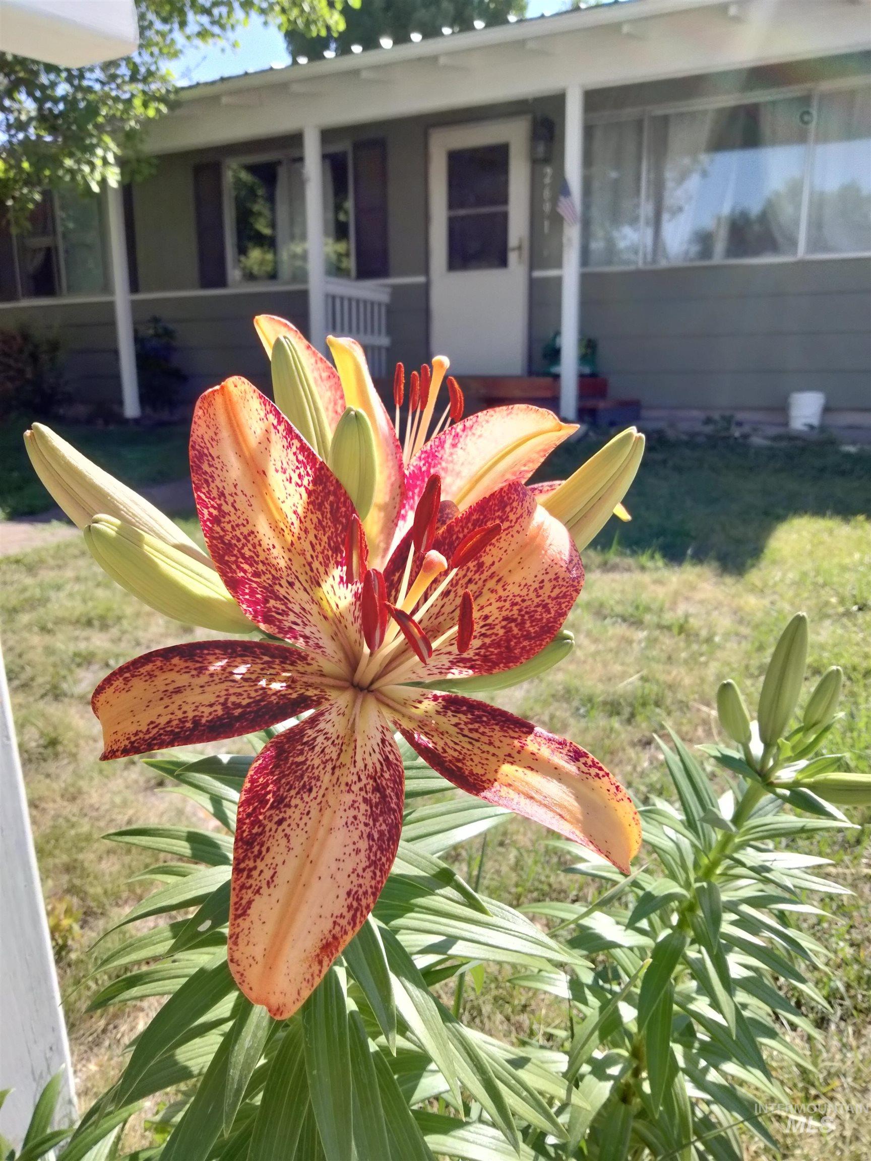 2691 Southview Place, Burley, Idaho 83318, 3 Bedrooms, 1 Bathroom, Residential For Sale, Price $269,000, 98984103