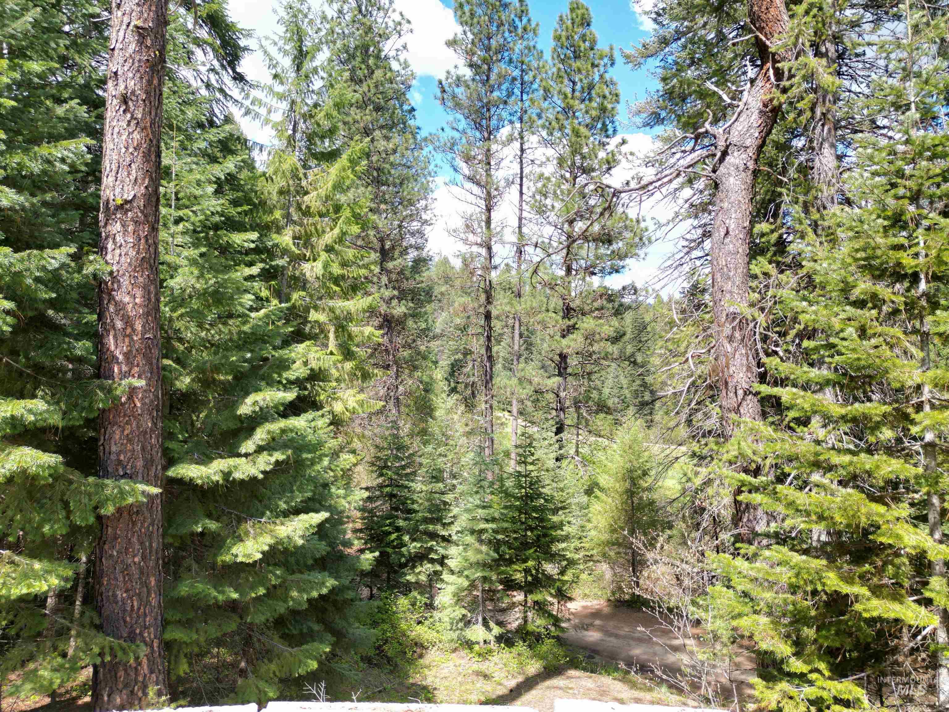 60 Star View Dr., Garden Valley, Idaho 83622, 3 Bedrooms, 2 Bathrooms, Residential For Sale, Price $699,900, 98984109