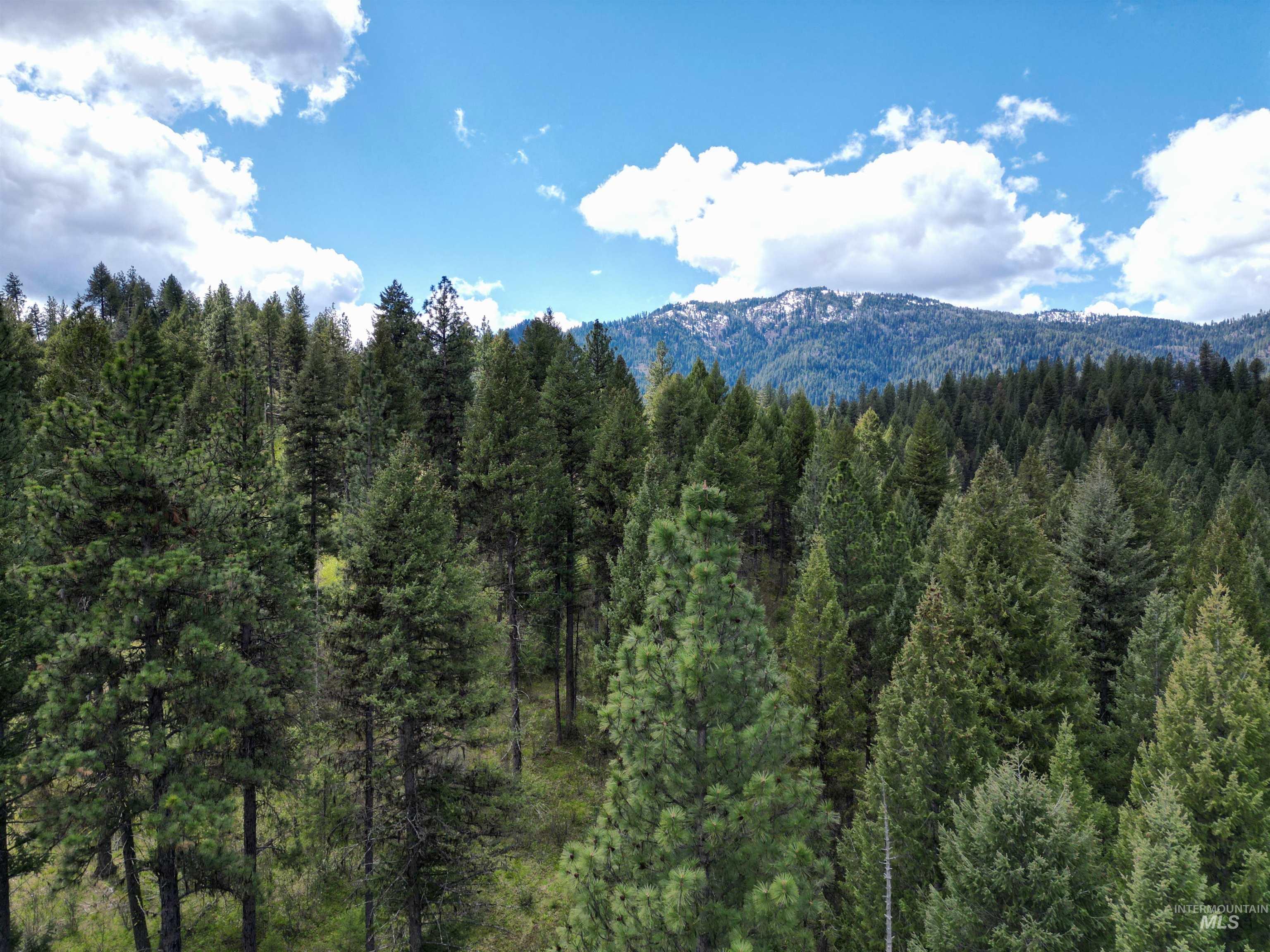 60 Star View Dr., Garden Valley, Idaho 83622, 3 Bedrooms, 2 Bathrooms, Residential For Sale, Price $699,900, 98984109