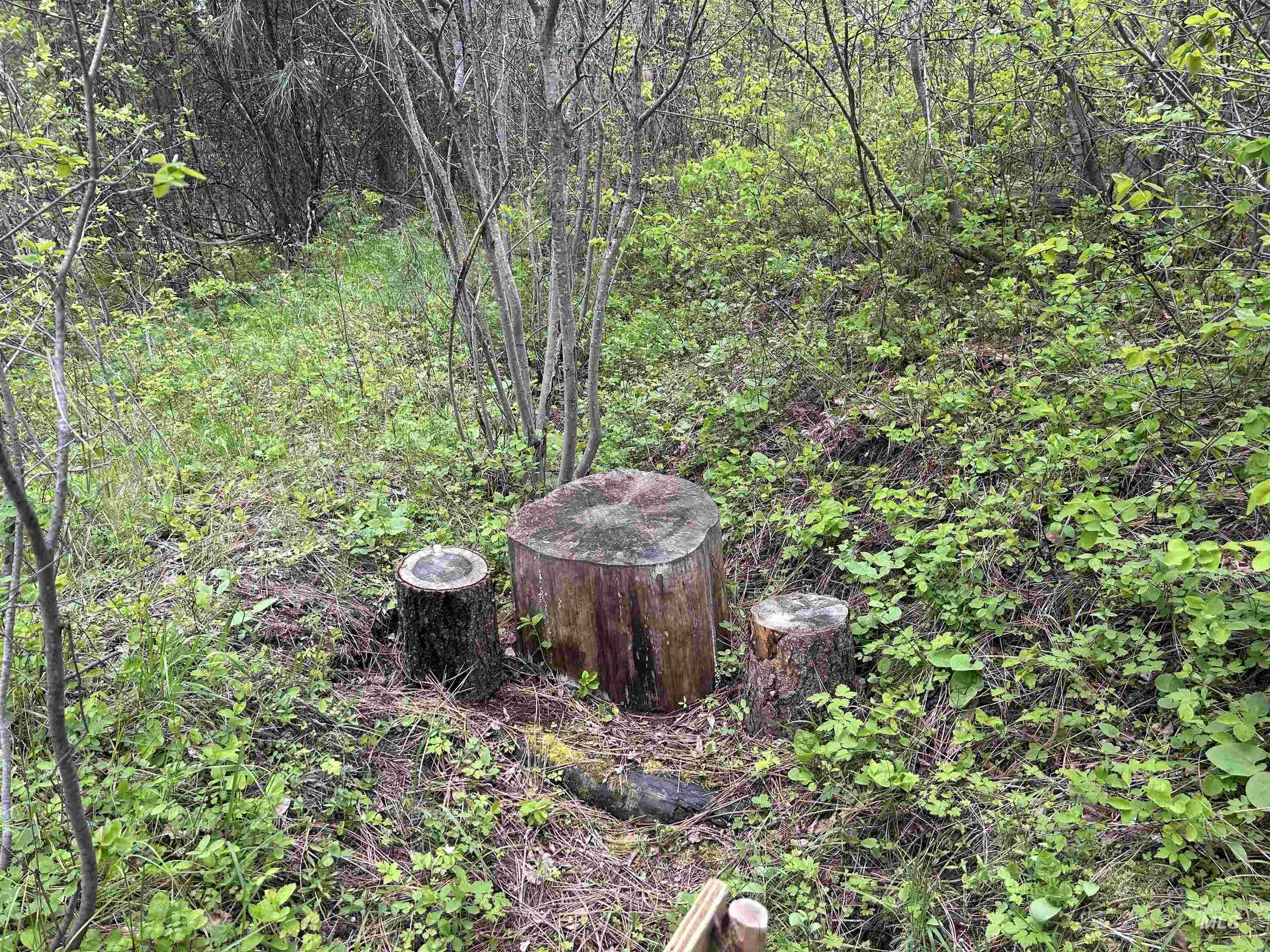 9 Leisure lane, Garden Valley, Idaho 83622, Land For Sale, Price $285,000,MLS 98984112