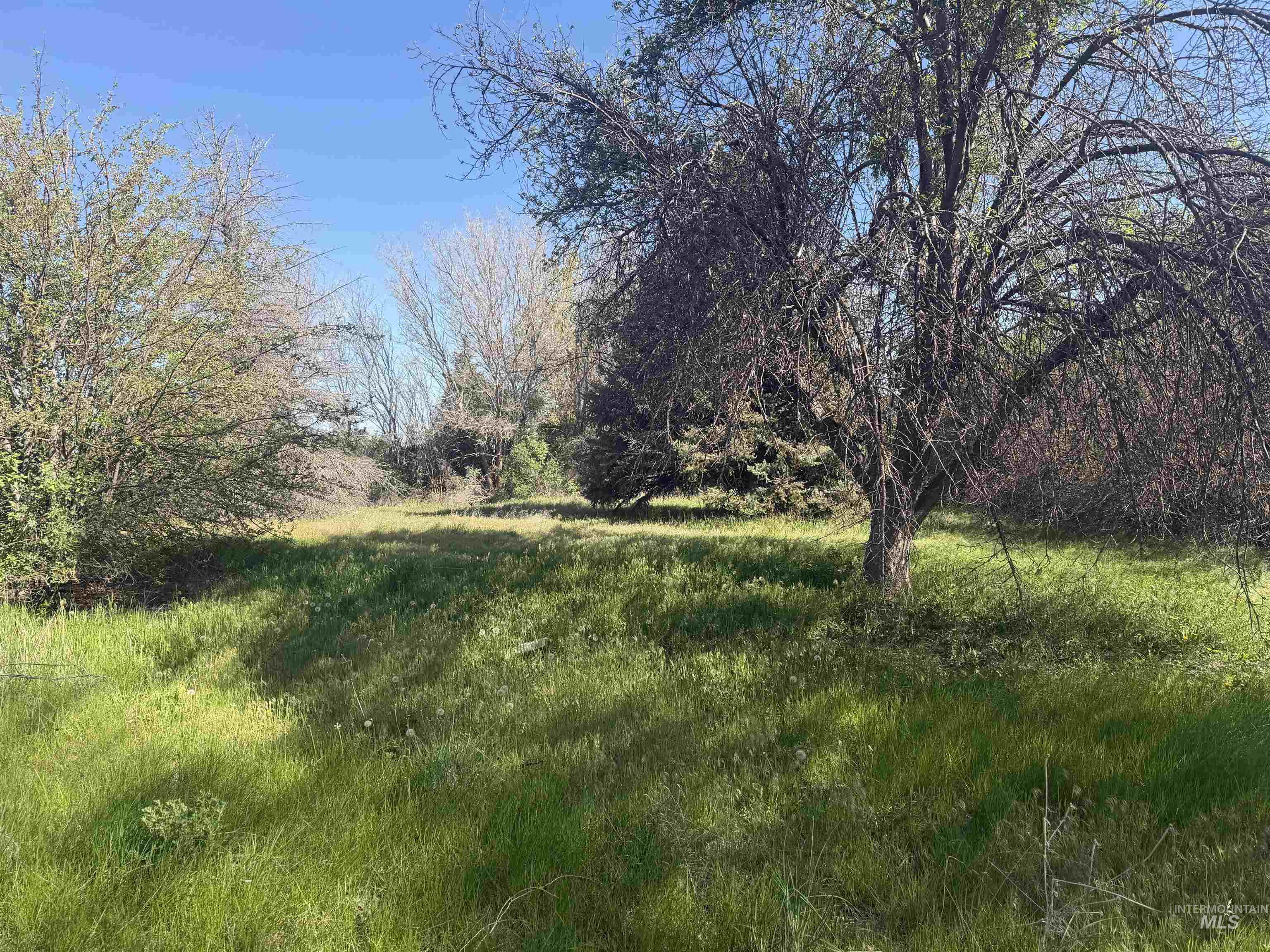 495 Illinois Street, Bliss, Idaho 83314, Land For Sale, Price $60,000,MLS 98984189
