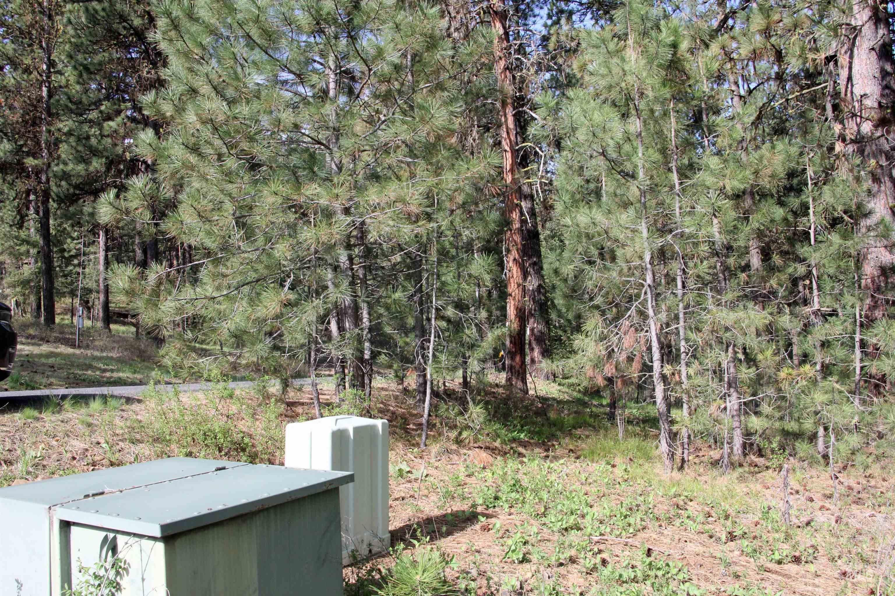 TBD Hot Springs Road, New Meadows, Idaho 83654-0000, Land For Sale, Price $80,000, 98984217