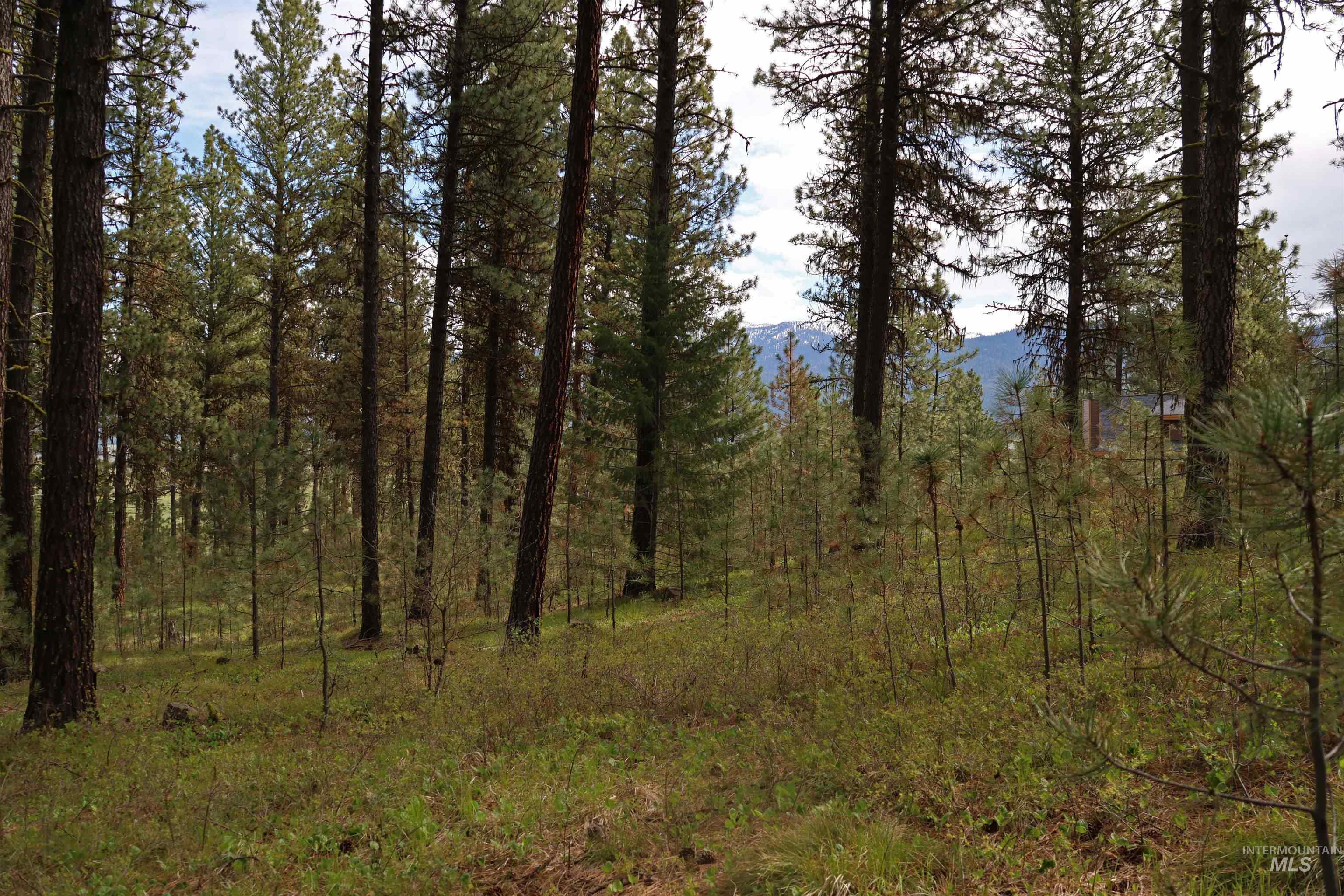 TBD Hot Springs Road, New Meadows, Idaho 83654-0000, Land For Sale, Price $80,000, 98984217