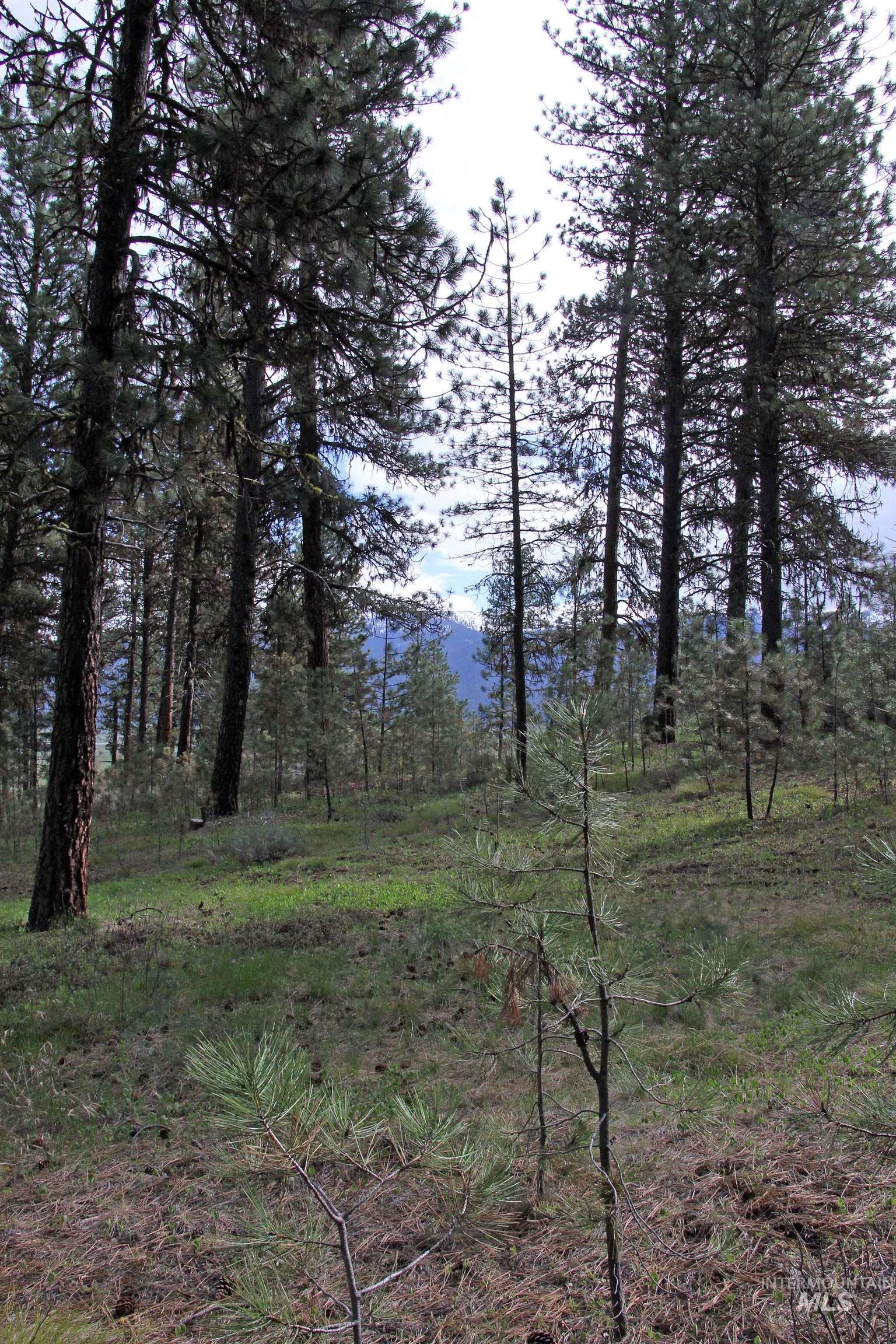 TBD Hot Springs Road, New Meadows, Idaho 83654-0000, Land For Sale, Price $80,000, 98984217