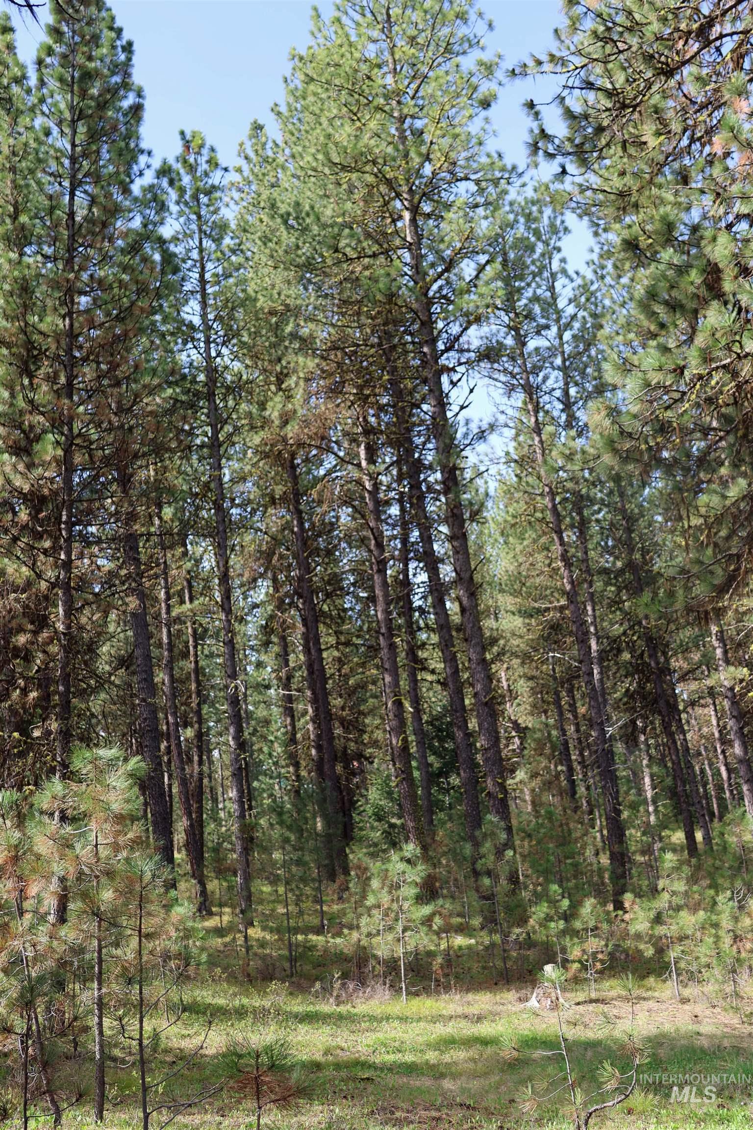 TBD Hot Springs Road, New Meadows, Idaho 83654-0000, Land For Sale, Price $80,000, 98984217