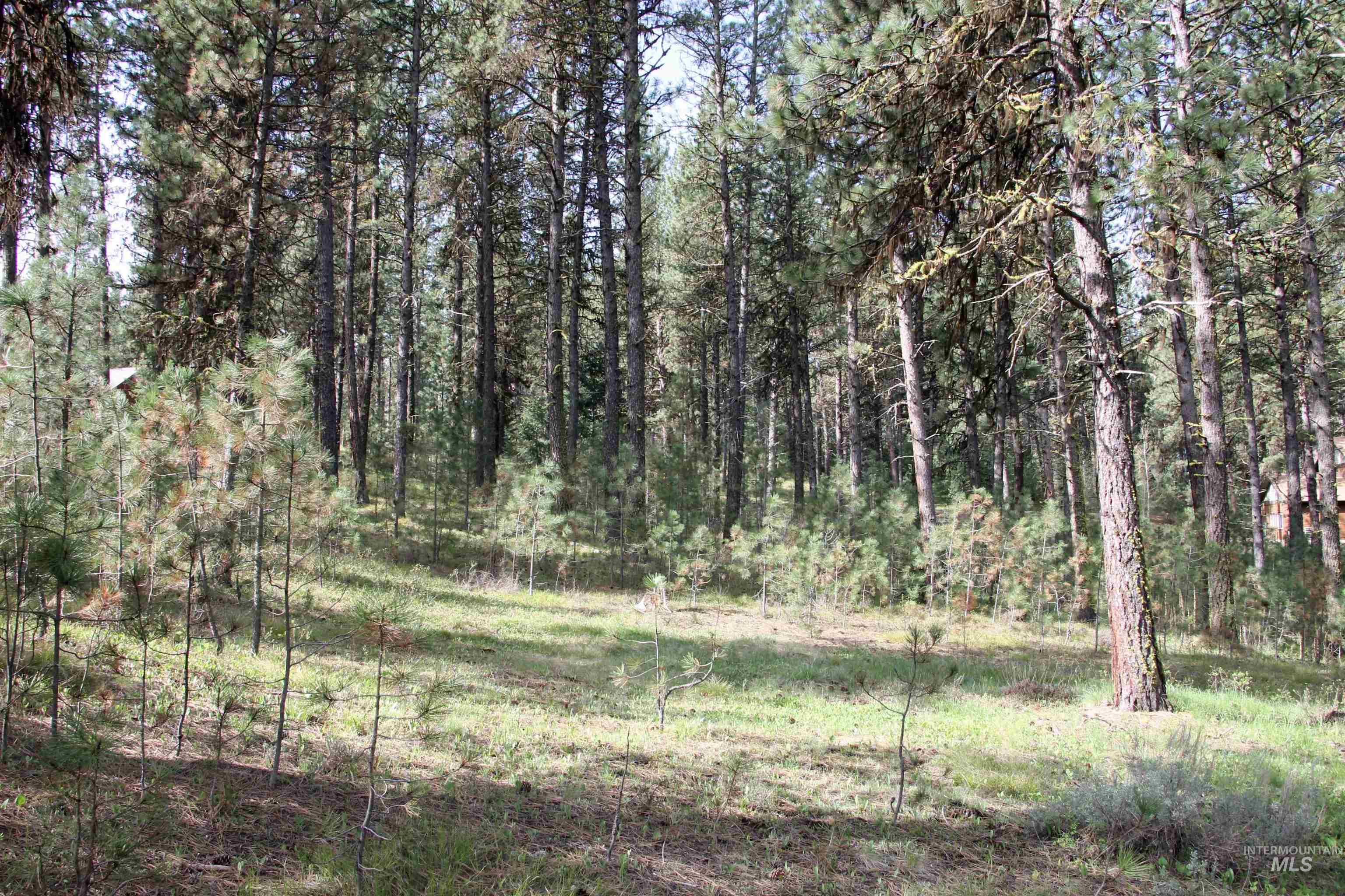 TBD Hot Springs Road, New Meadows, Idaho 83654-0000, Land For Sale, Price $80,000, 98984217
