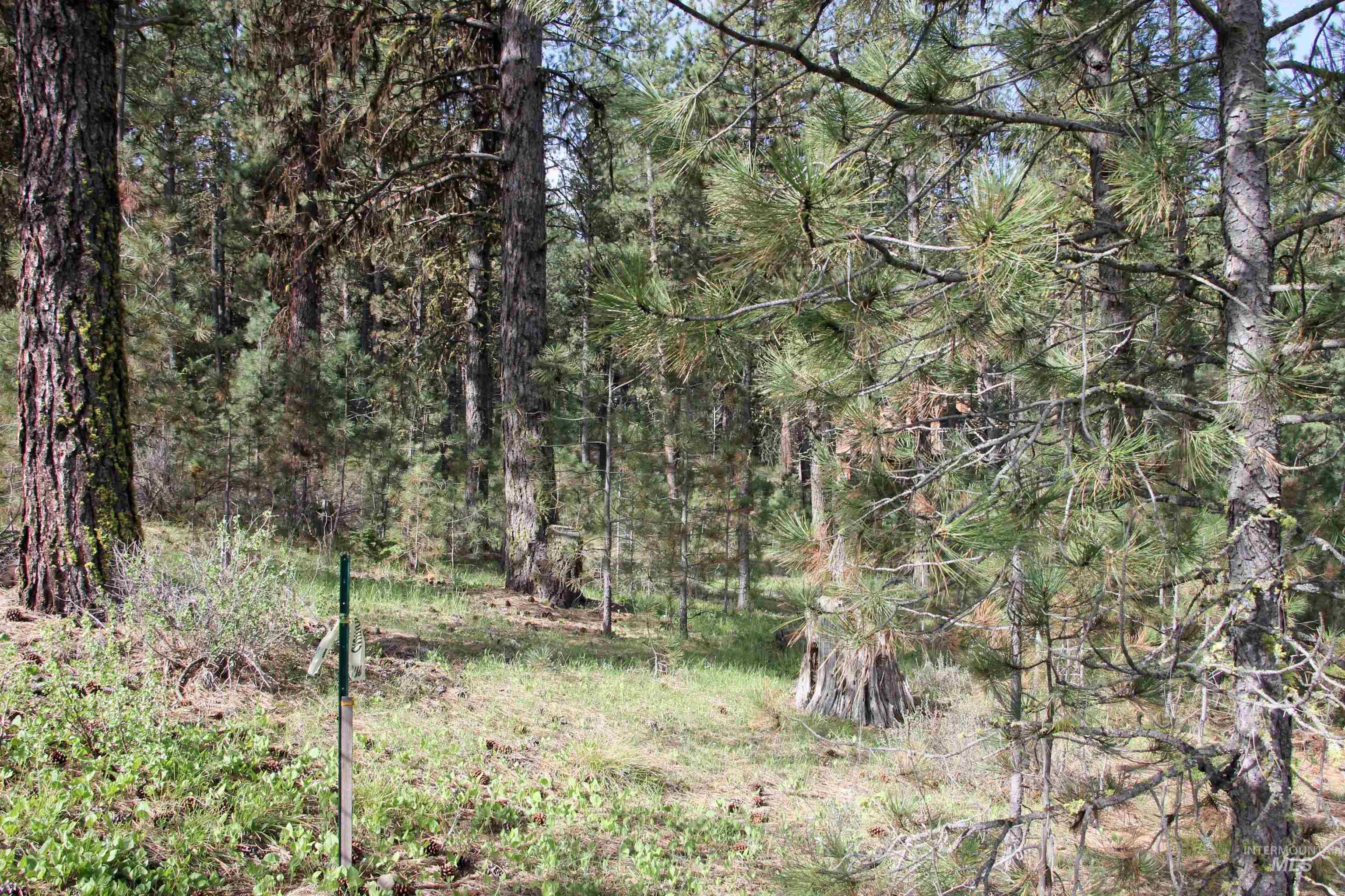 TBD Hot Springs Road, New Meadows, Idaho 83654-0000, Land For Sale, Price $80,000, 98984217