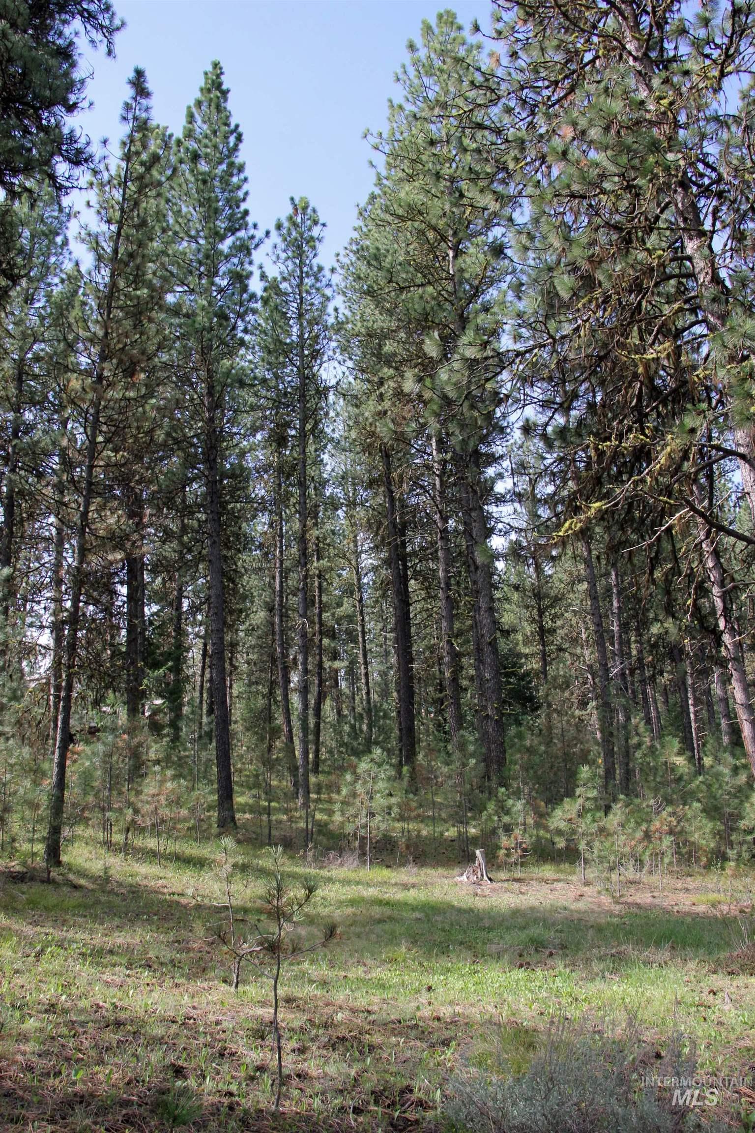 TBD Hot Springs Road, New Meadows, Idaho 83654-0000, Land For Sale, Price $80,000, 98984217