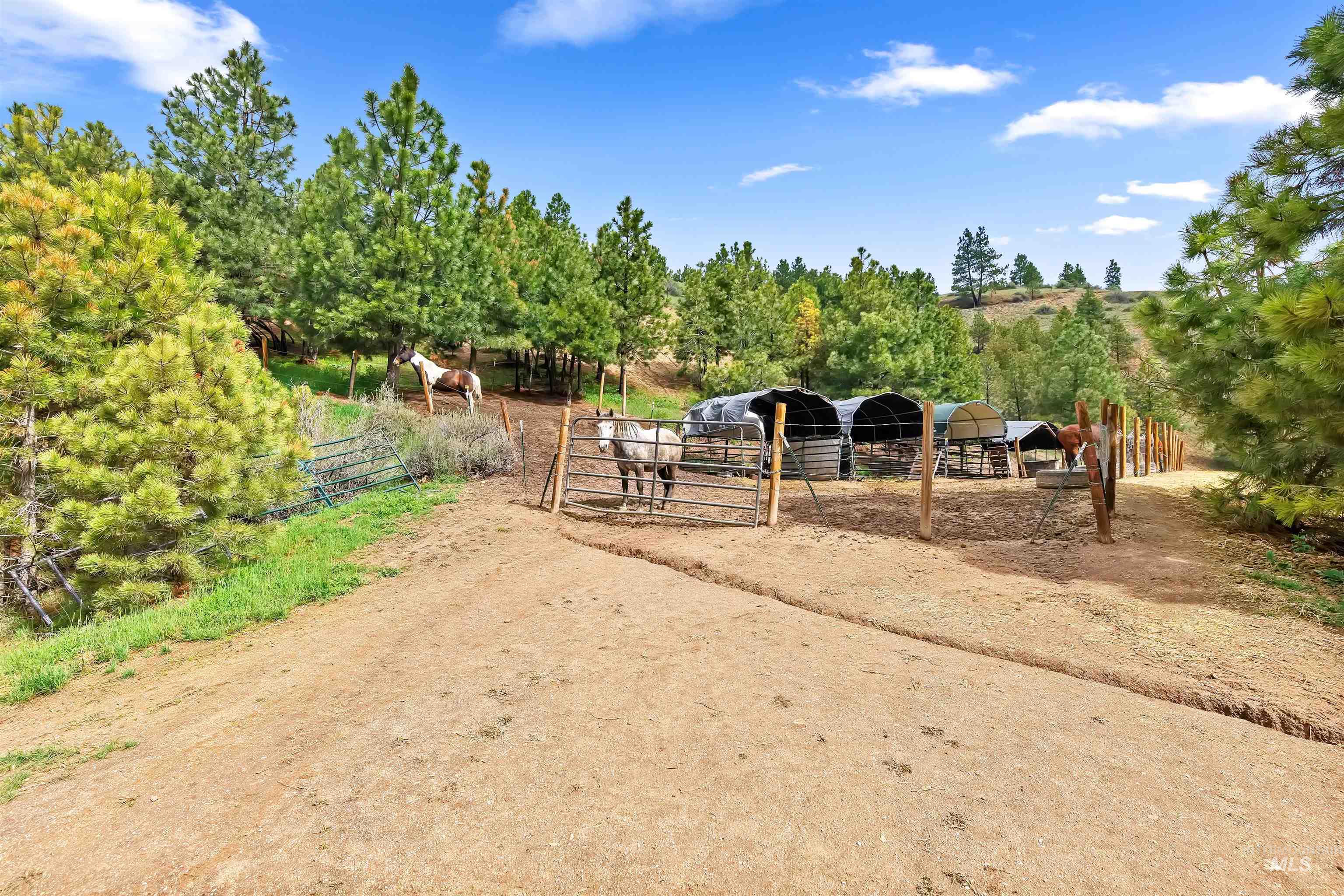 4 Round Up Circle, Boise, Idaho 83716, 3 Bedrooms, 2 Bathrooms, Residential For Sale, Price $625,000,MLS 98984222