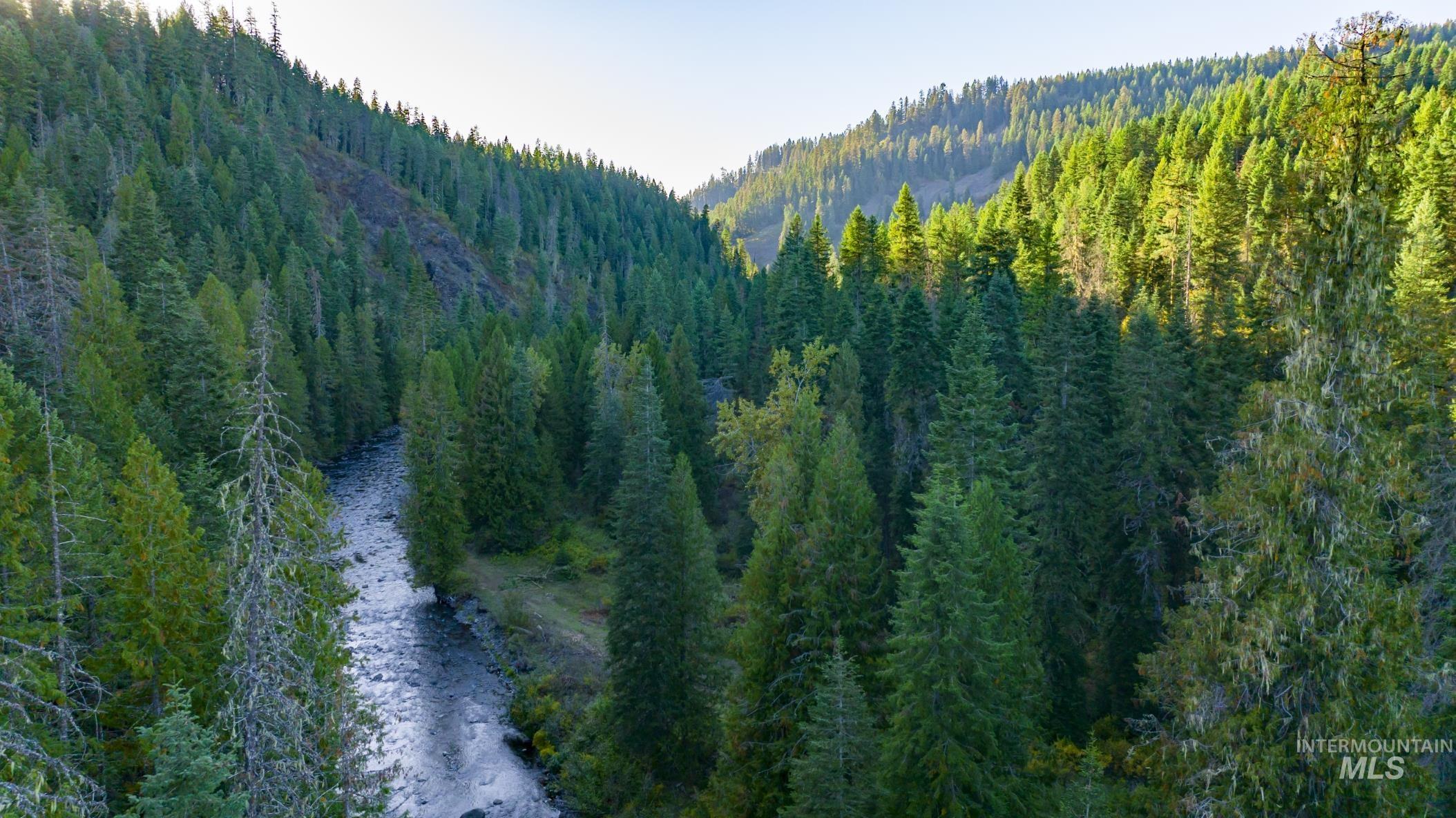 5856 Lacey Meadows Rd, Weippe, Idaho 83553, Land For Sale, Price $350,000, 98984270