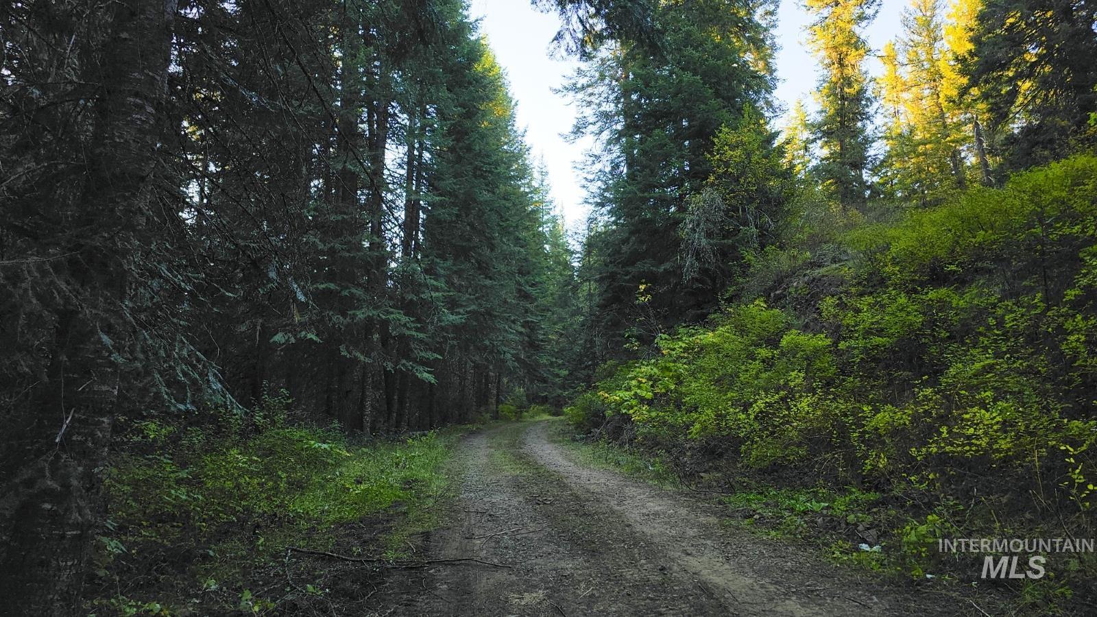 5856 Lacey Meadows Rd, Weippe, Idaho 83553, Land For Sale, Price $350,000, 98984270