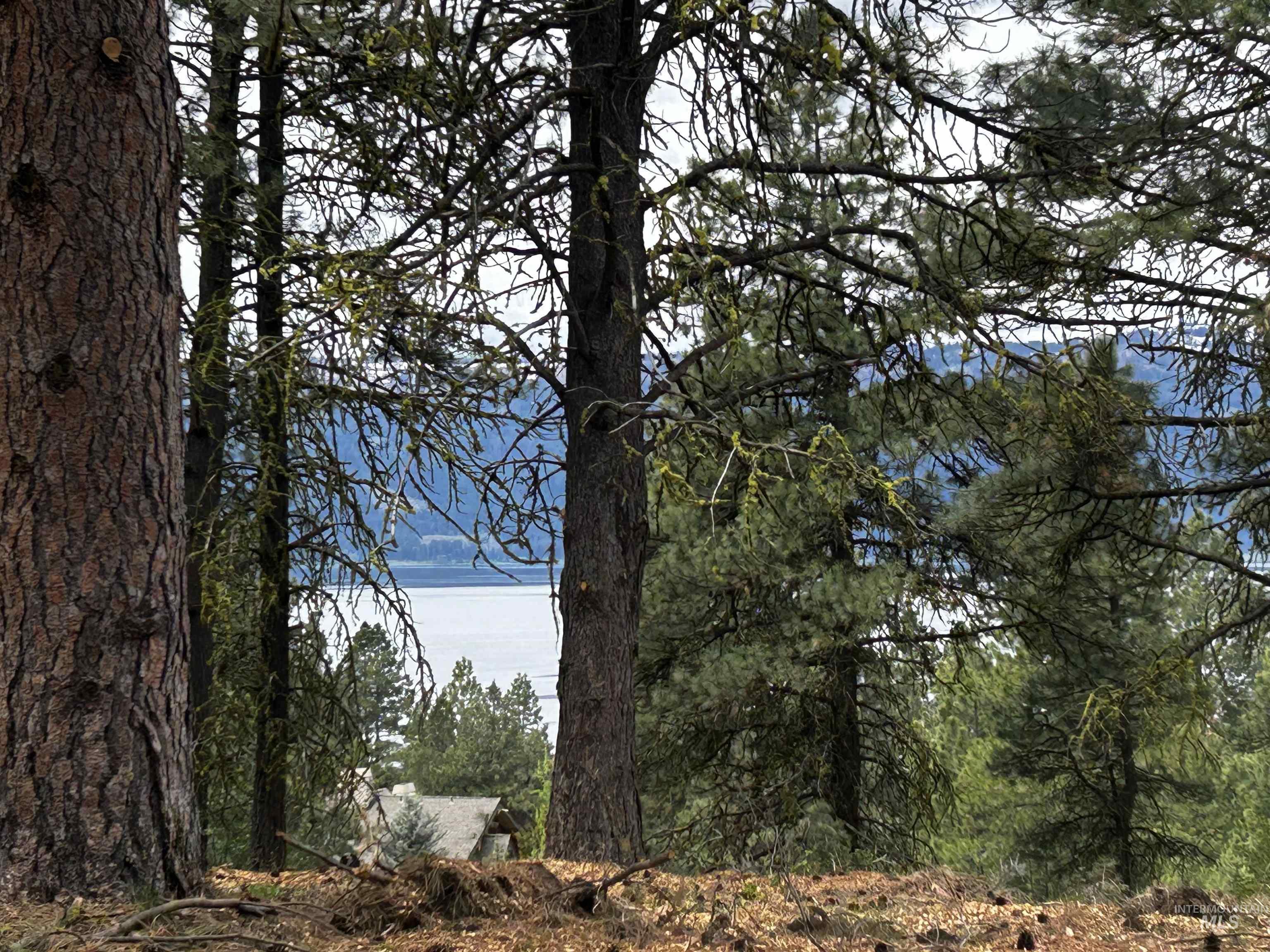 1483 Pine Lakes Ranch rd, Cascade, Idaho 83611, Land For Sale, Price $375,000, 98984281