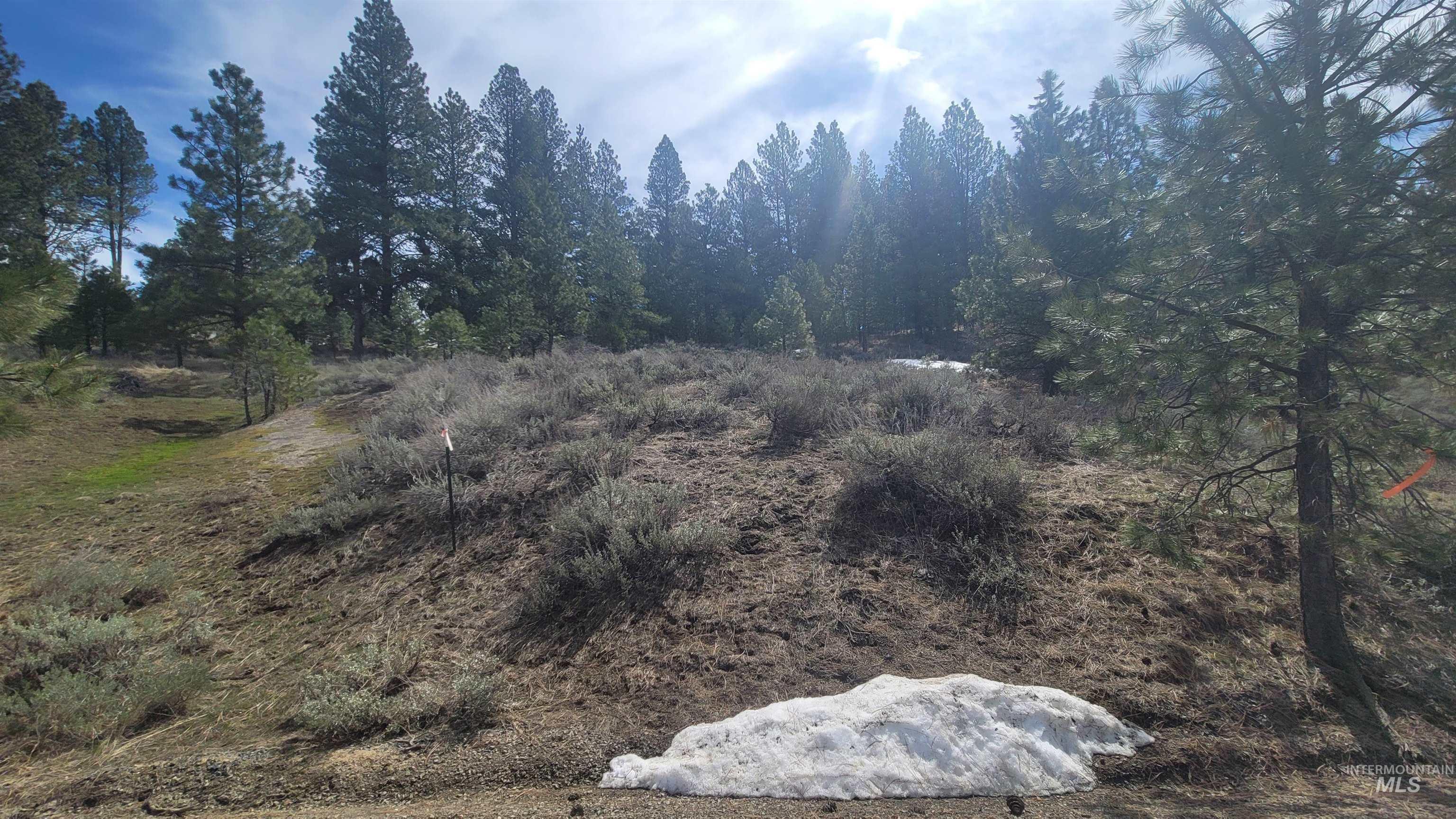 1483 Pine Lakes Ranch rd, Cascade, Idaho 83611, Land For Sale, Price $375,000, 98984281