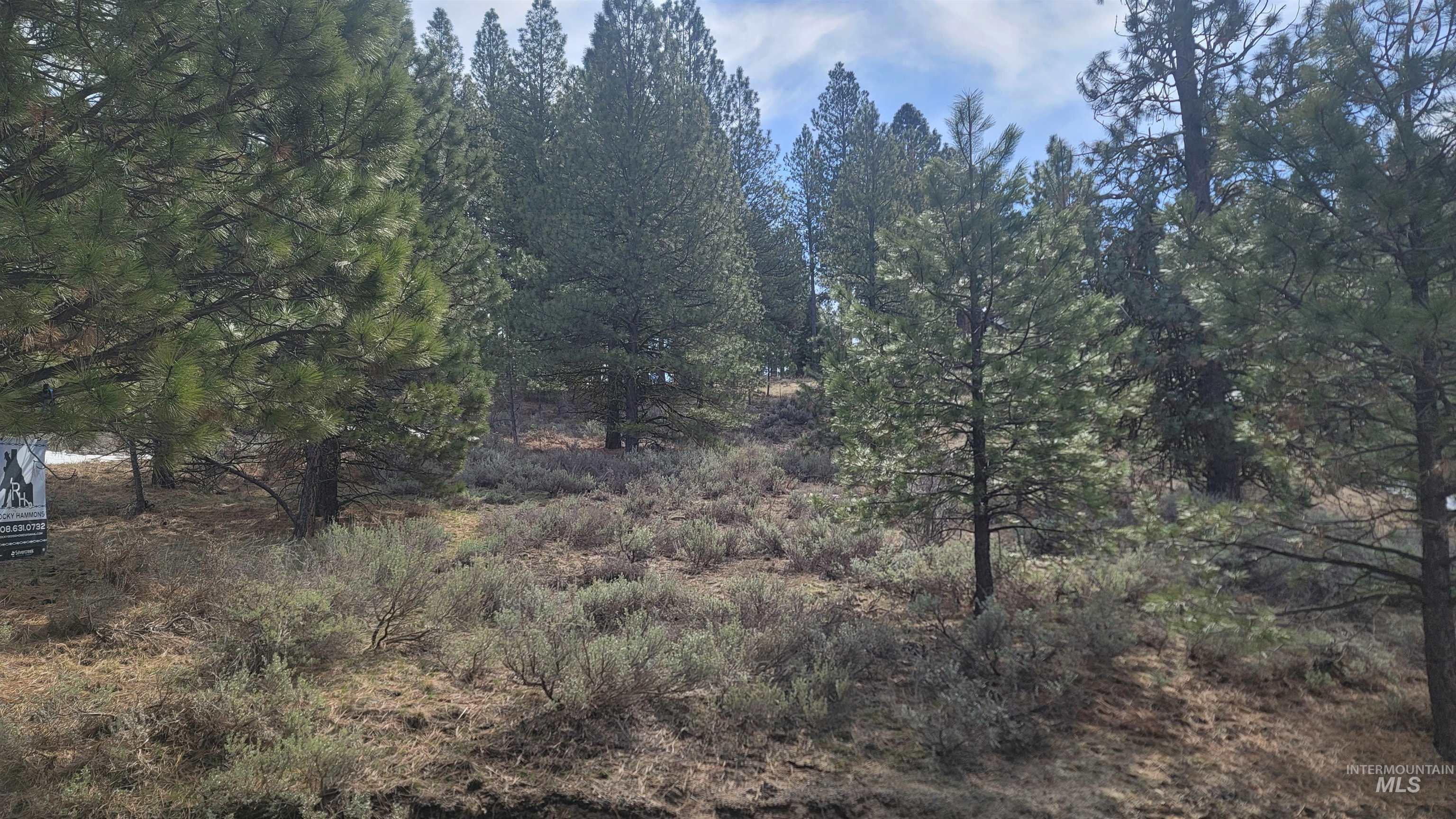 1483 Pine Lakes Ranch rd, Cascade, Idaho 83611, Land For Sale, Price $375,000, 98984281