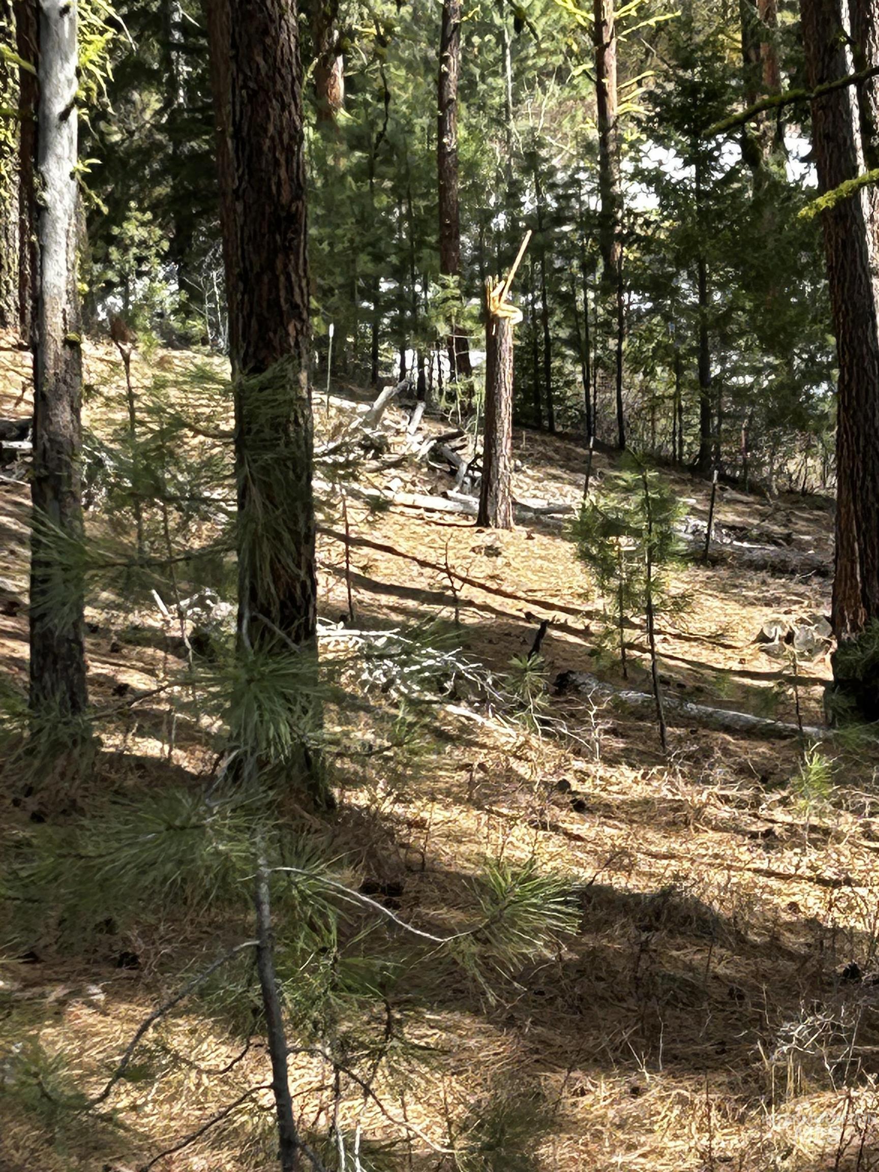1483 Pine Lakes Ranch rd, Cascade, Idaho 83611, Land For Sale, Price $385,000, 98984281