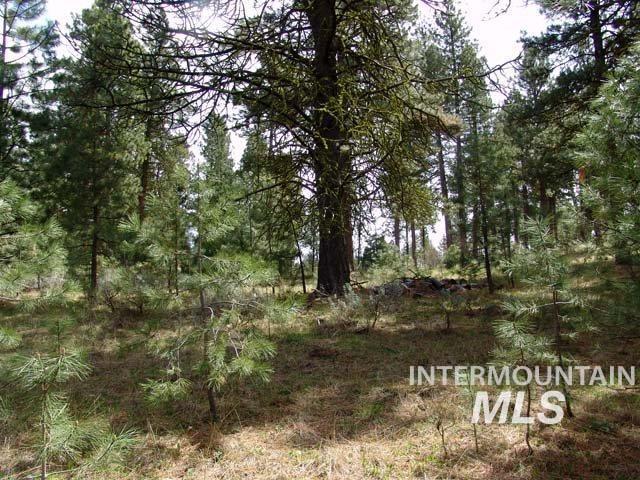 1483 Pine Lakes Ranch rd, Cascade, Idaho 83611, Land For Sale, Price $375,000, 98984281