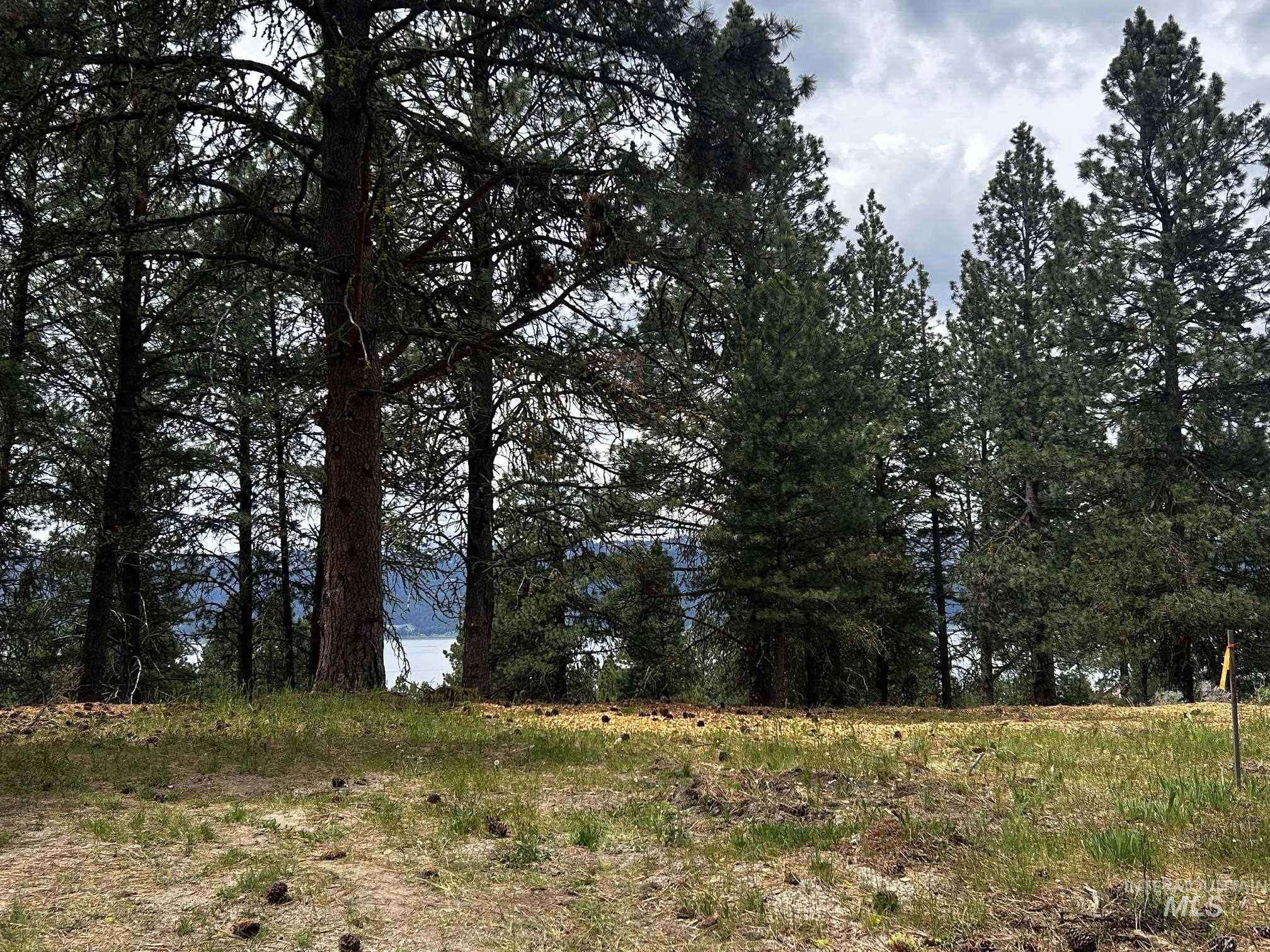 1483 Pine Lakes Ranch rd, Cascade, Idaho 83611, Land For Sale, Price $375,000, 98984281