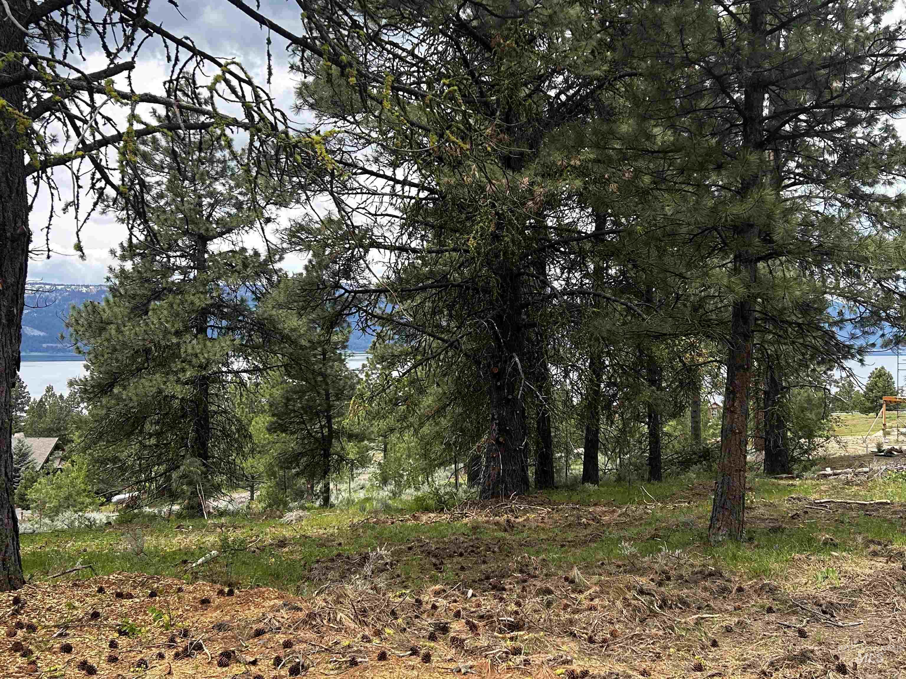 1483 Pine Lakes Ranch rd, Cascade, Idaho 83611, Land For Sale, Price $375,000, 98984281