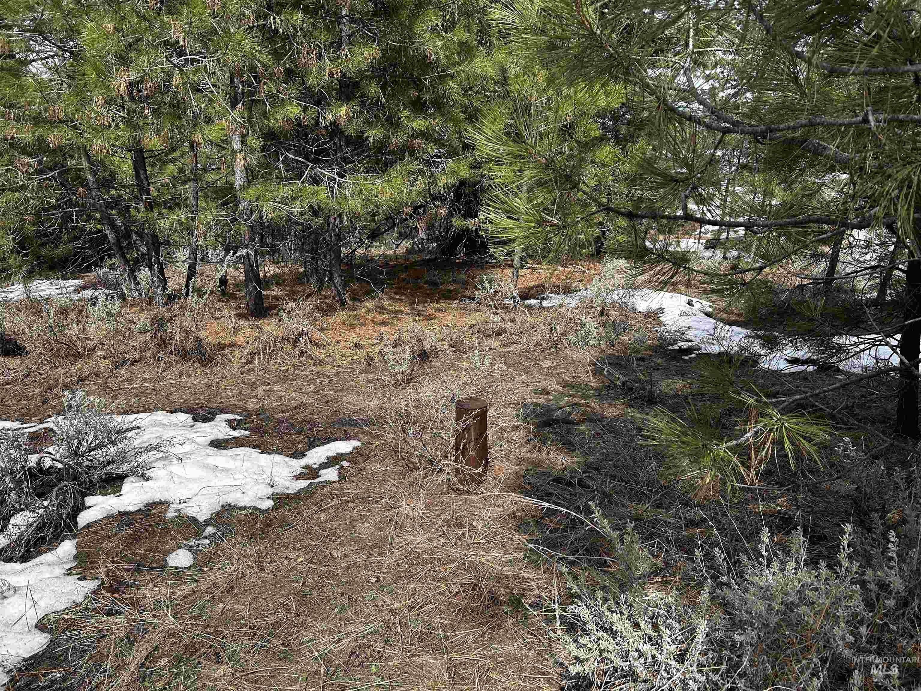 1483 Pine Lakes Ranch rd, Cascade, Idaho 83611, Land For Sale, Price $375,000, 98984281