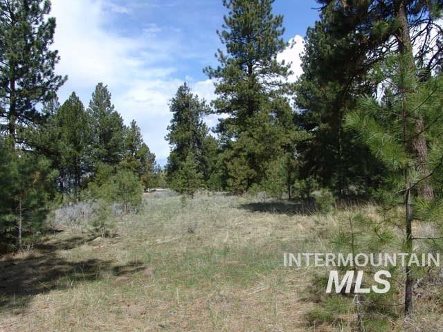 1483 Pine Lakes Ranch rd, Cascade, Idaho 83611, Land For Sale, Price $385,000, 98984281