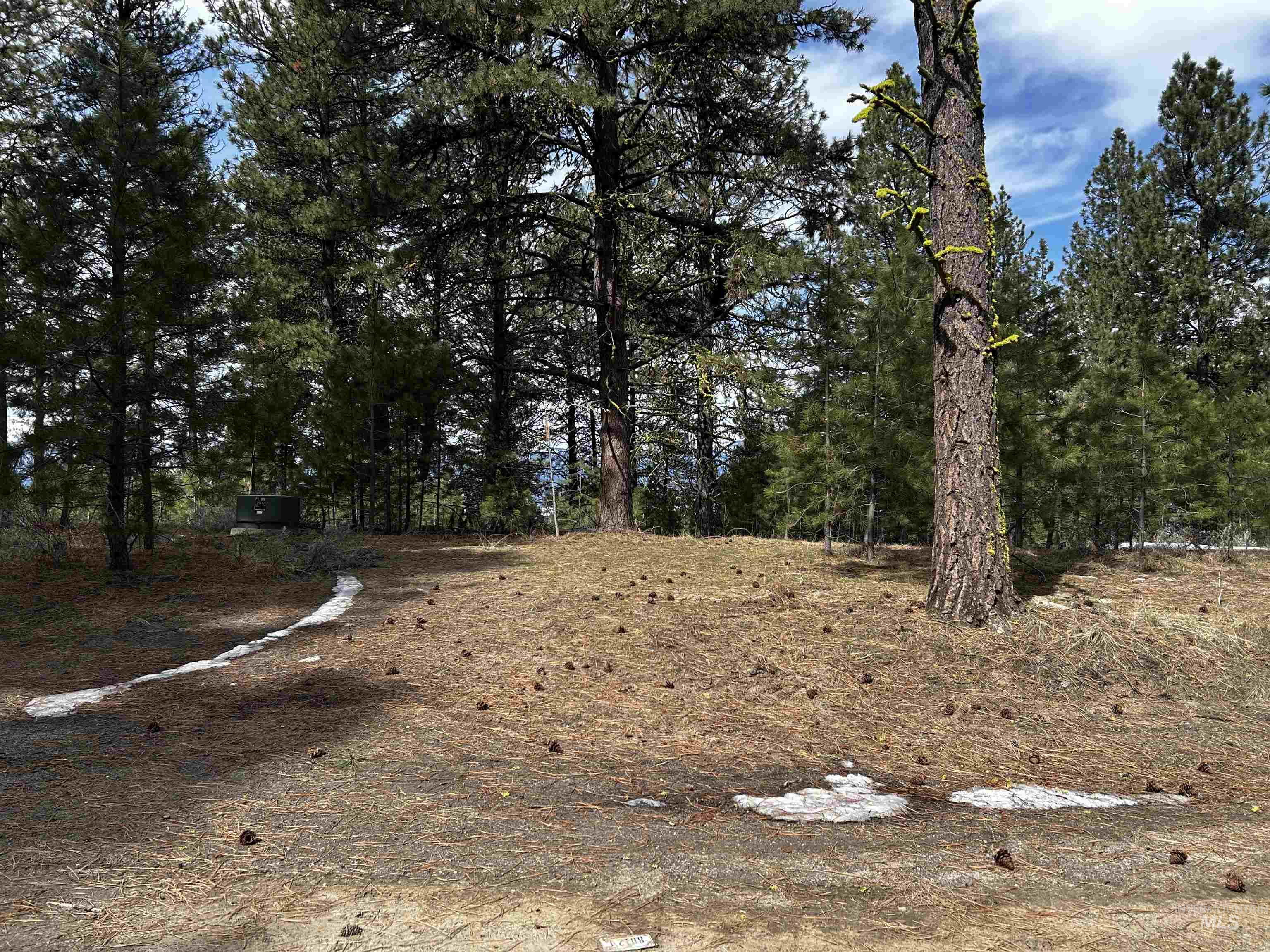 1483 Pine Lakes Ranch rd, Cascade, Idaho 83611, Land For Sale, Price $375,000, 98984281