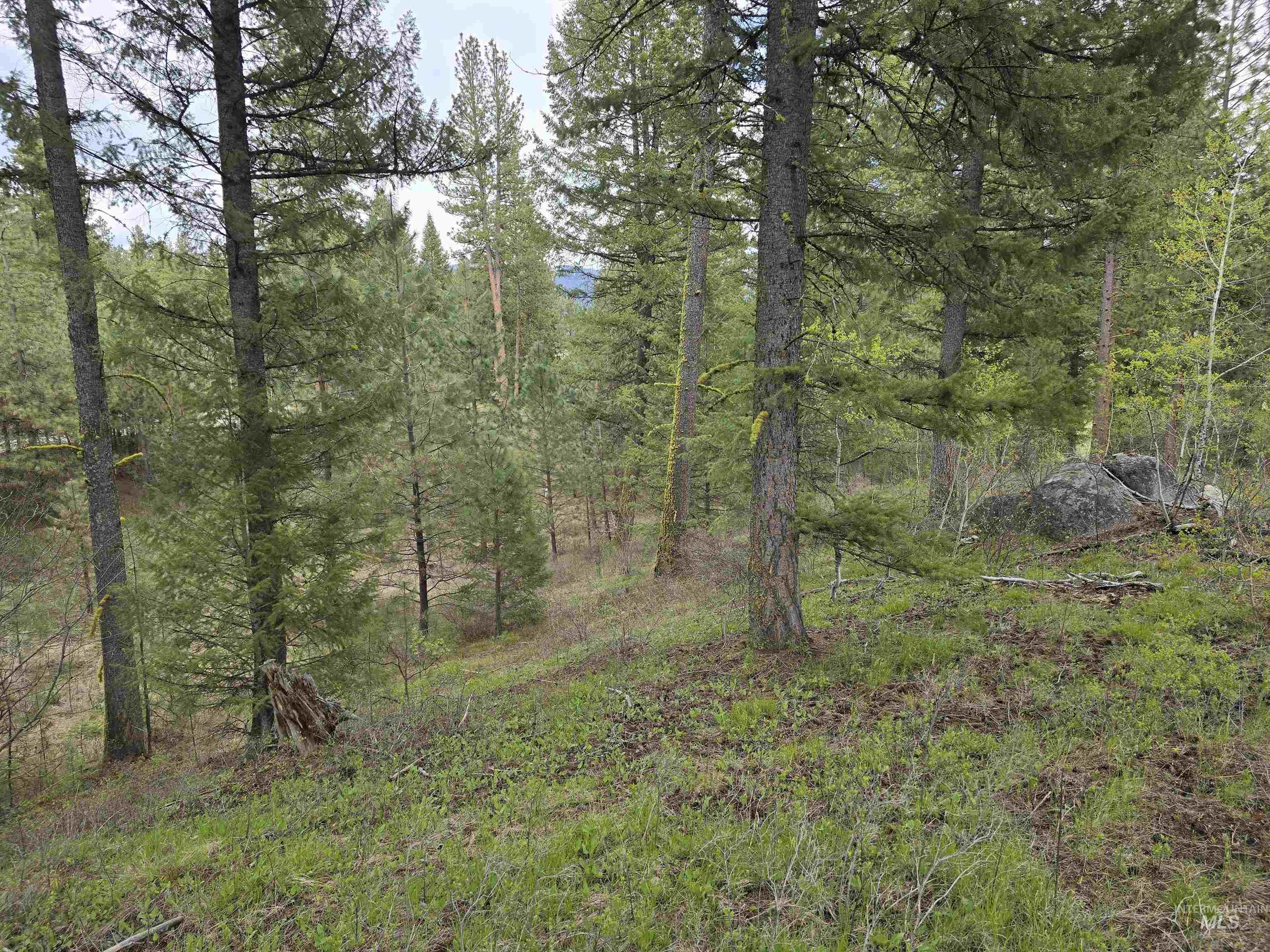 L3 B2 Rehn Loop, Cascade, Idaho 83611, Land For Sale, Price $185,000, 98984342