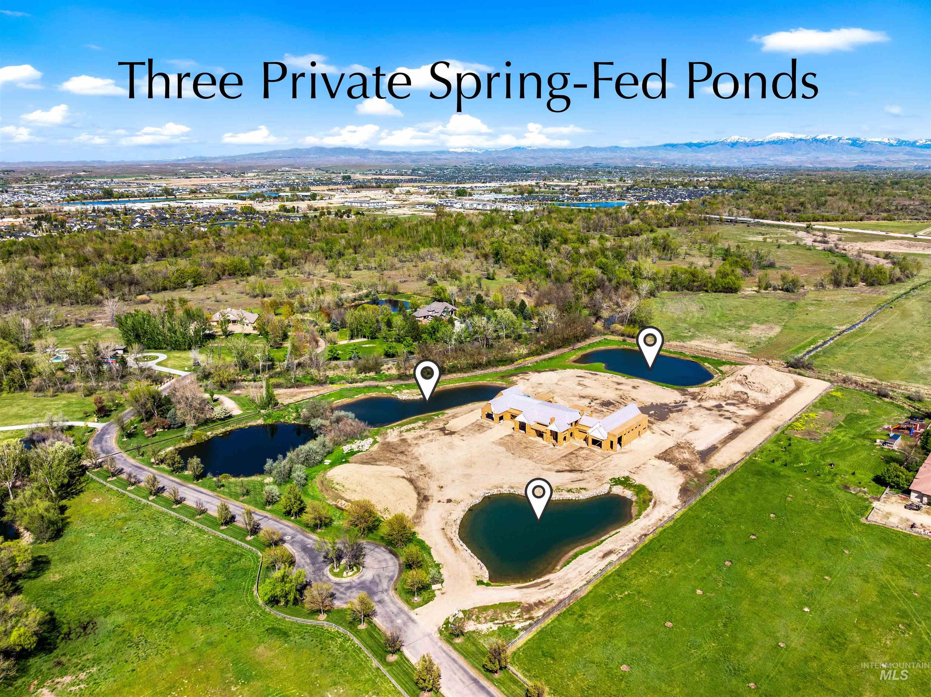 8000 N Stonebriar Lane, Meridian, Idaho 83646, 5 Bedrooms, 8 Bathrooms, Residential For Sale, Price $11,900,000,MLS 98984343