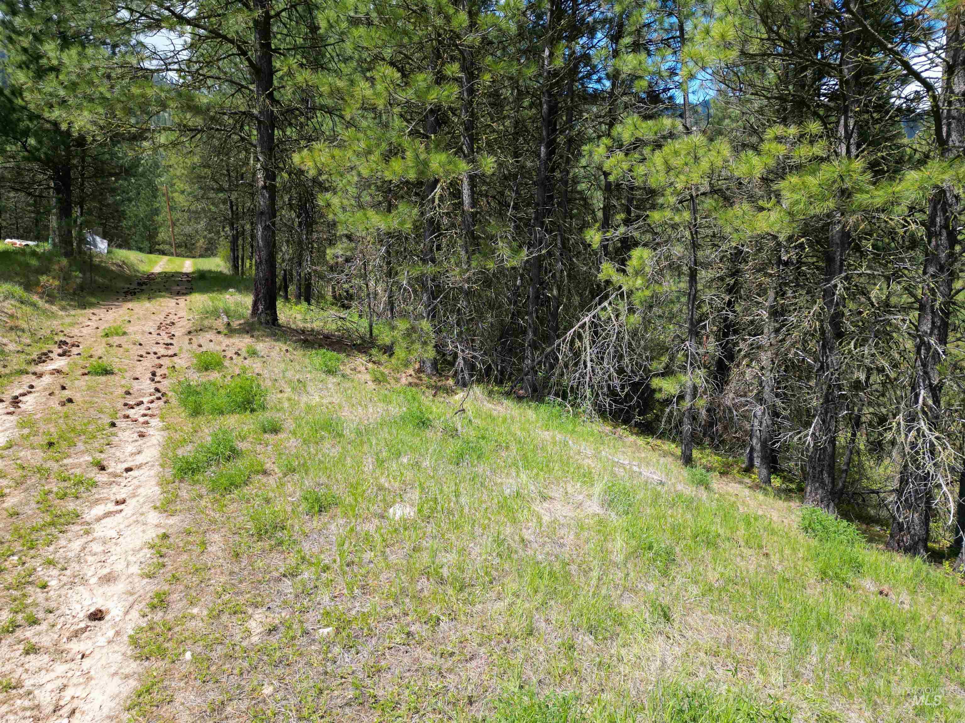 Lot 12 Overlook Dr., Garden Valley, Idaho 83622, Land For Sale, Price $60,000, 98984411