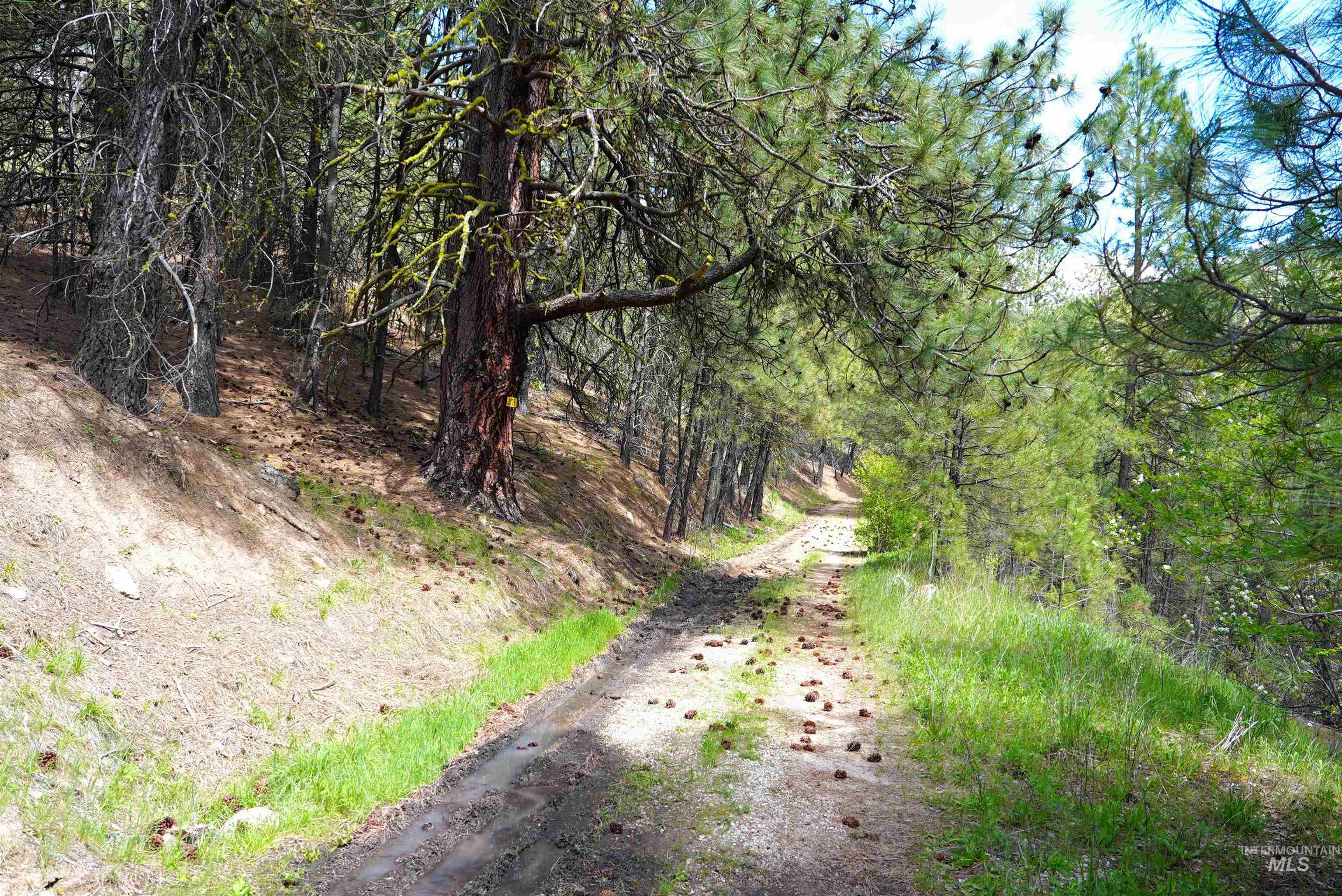 Lot 8 Fire Ridge Rd., Garden Valley, Idaho 83622, Land For Sale, Price $25,000, 98984420