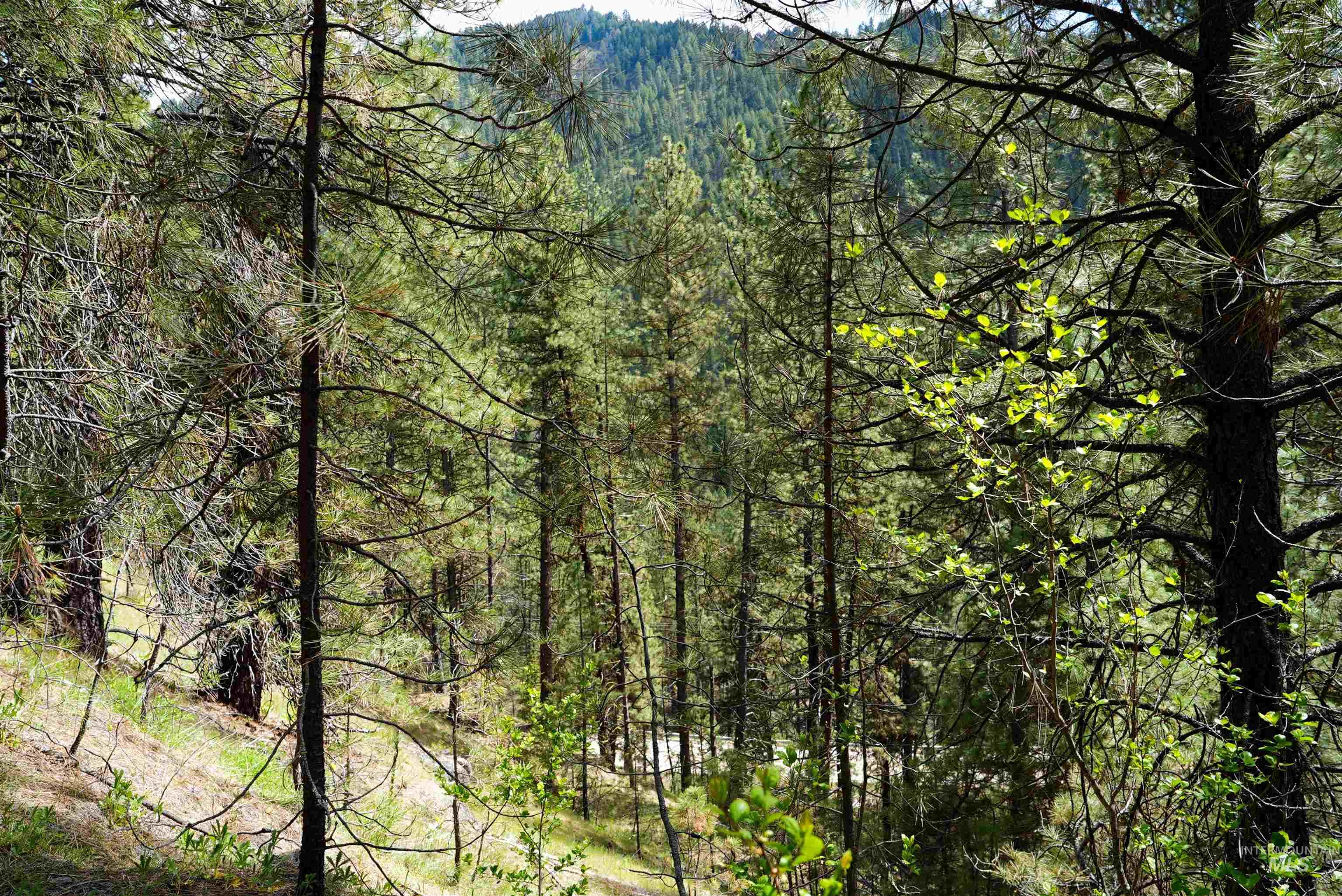 Lot 8 Fire Ridge Rd., Garden Valley, Idaho 83622, Land For Sale, Price $25,000, 98984420