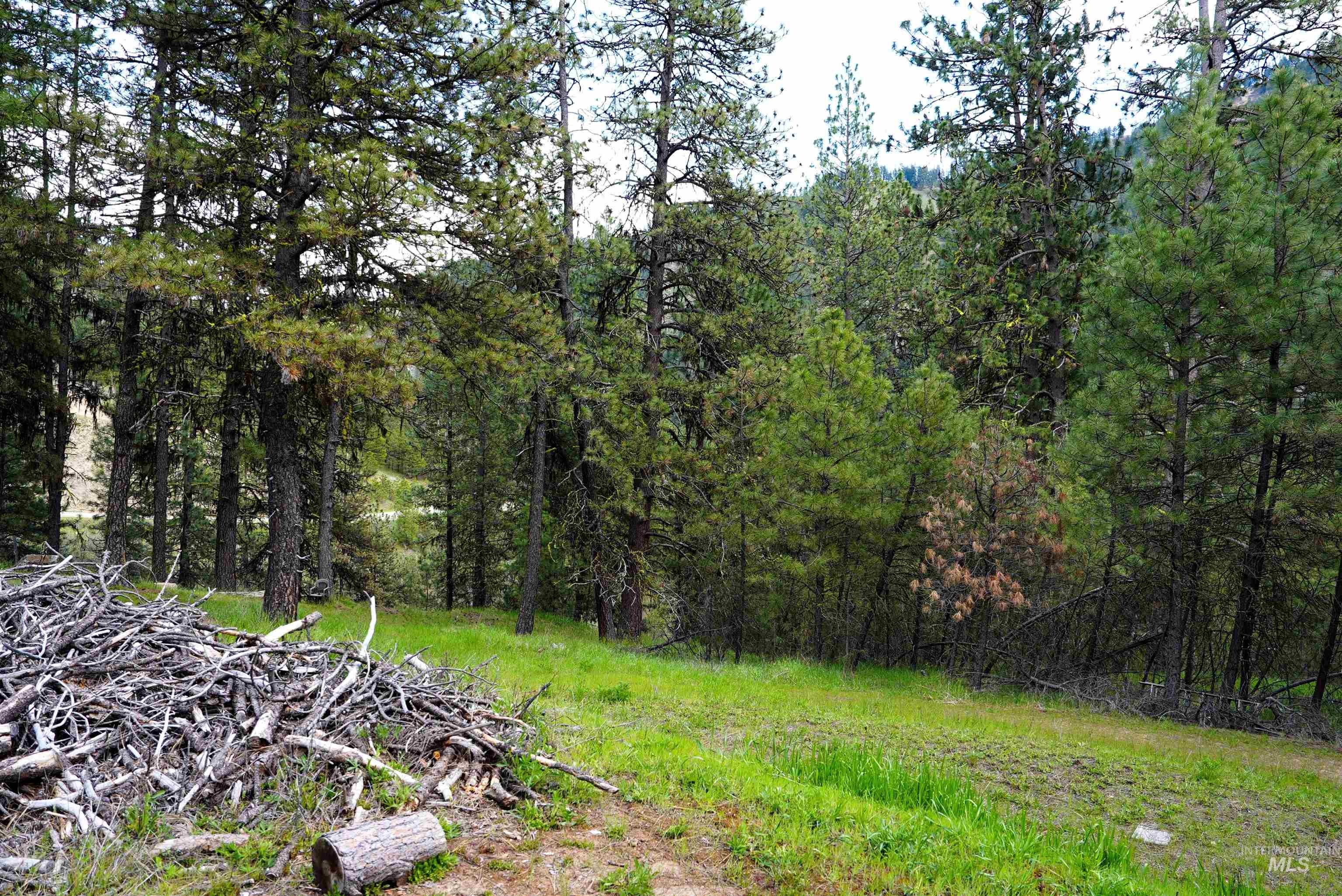 Lot 24 Fire Ridge Rd., Garden Valley, Idaho 83622, Land For Sale, Price $85,000, 98984426