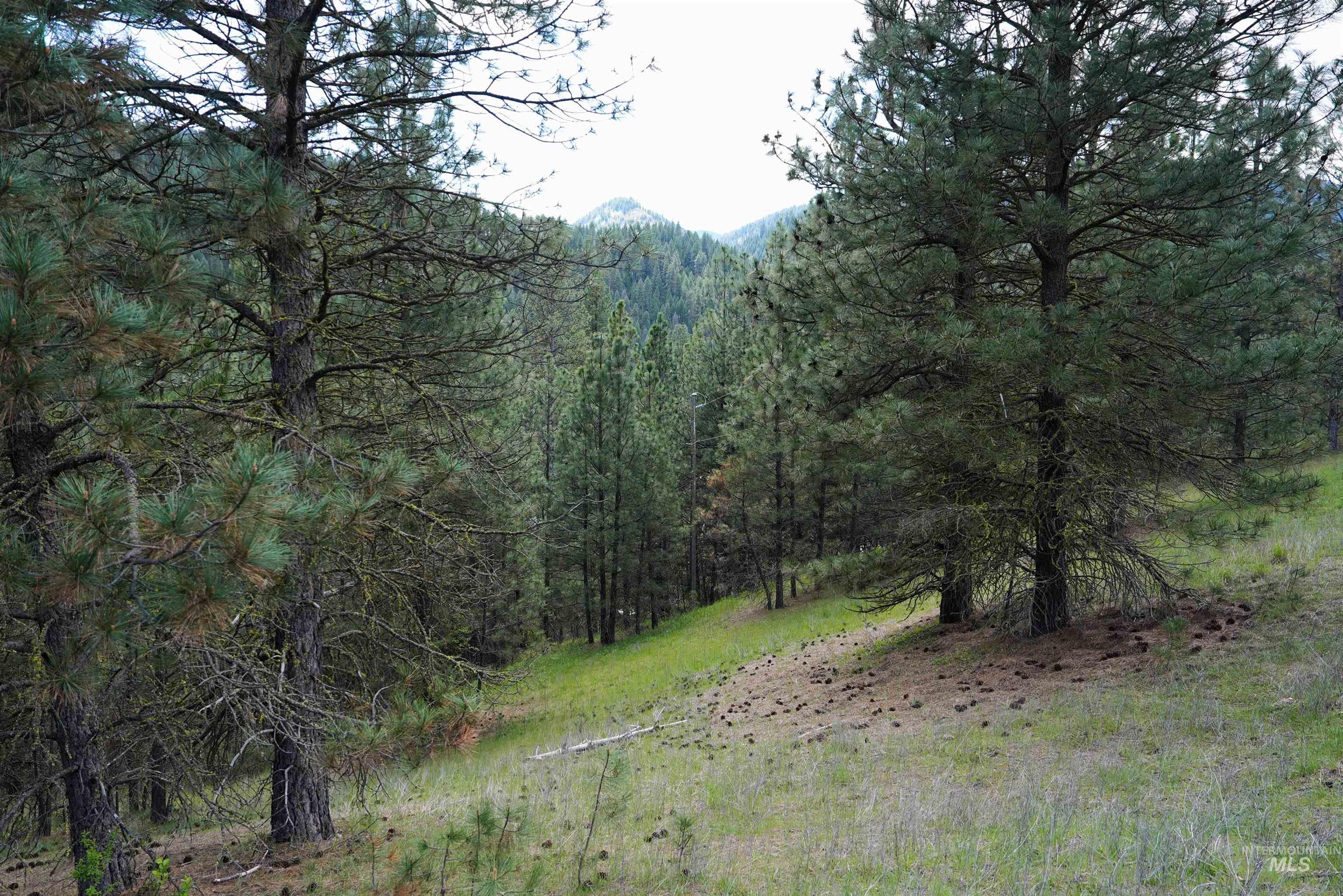 Lots 28, 27 Fire Ridge Rd., Garden Valley, Idaho 83622, Land For Sale, Price $90,000,MLS 98984436