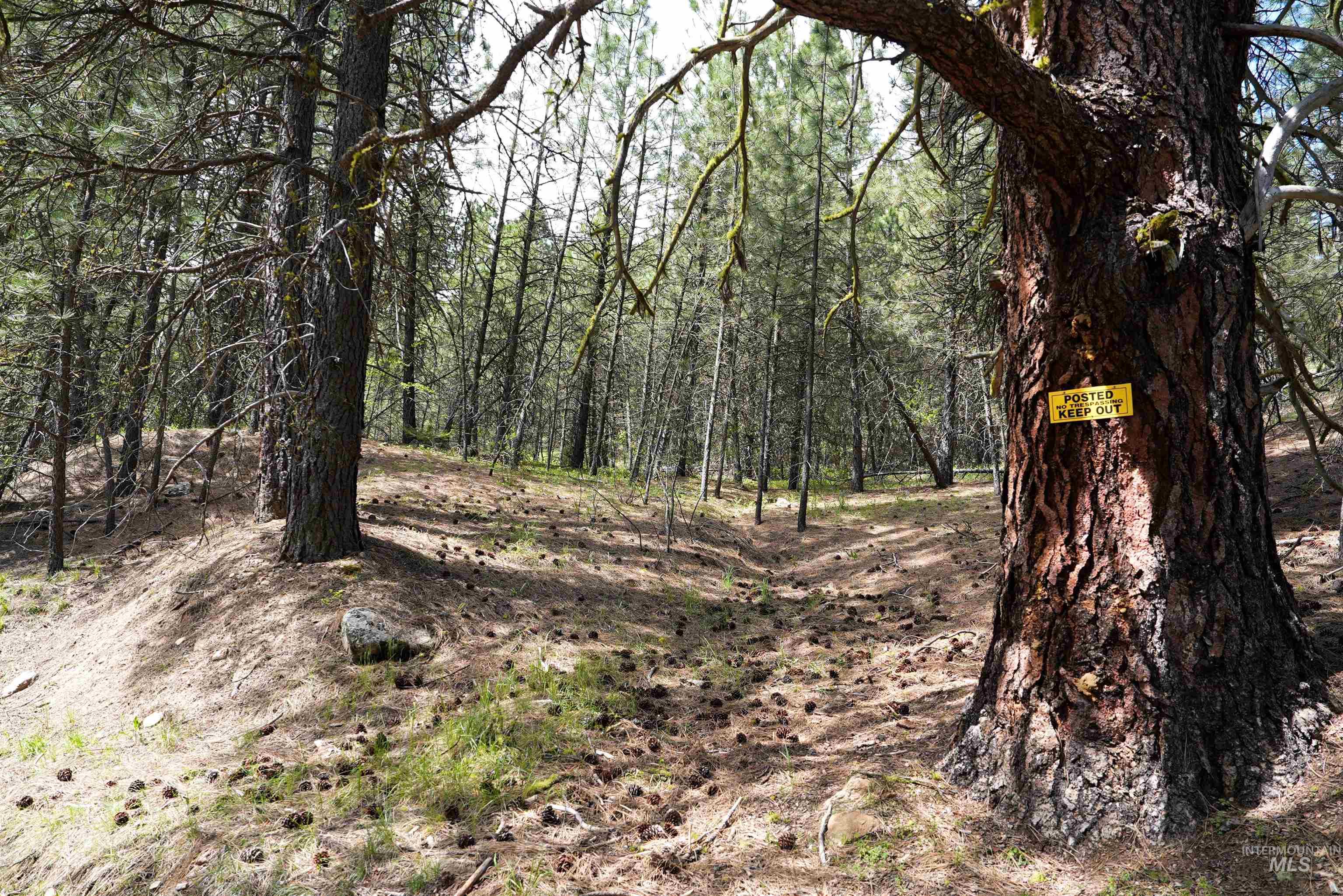 Lot 28 Fire Ridge Rd., Garden Valley, Idaho 83622, Land For Sale, Price $65,000, 98984441