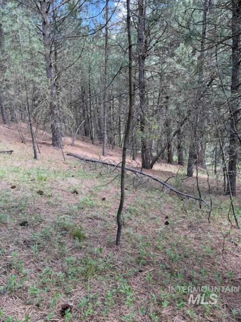 Lot 28 Fire Ridge Rd., Garden Valley, Idaho 83622, Land For Sale, Price $65,000, 98984441