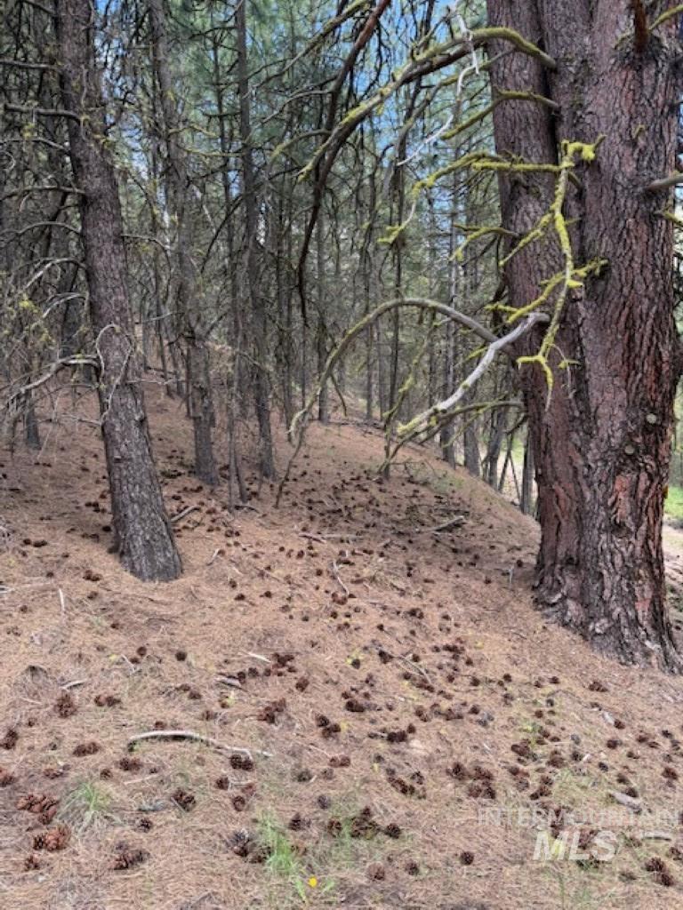 Lot 28 Fire Ridge Rd., Garden Valley, Idaho 83622, Land For Sale, Price $65,000, 98984441