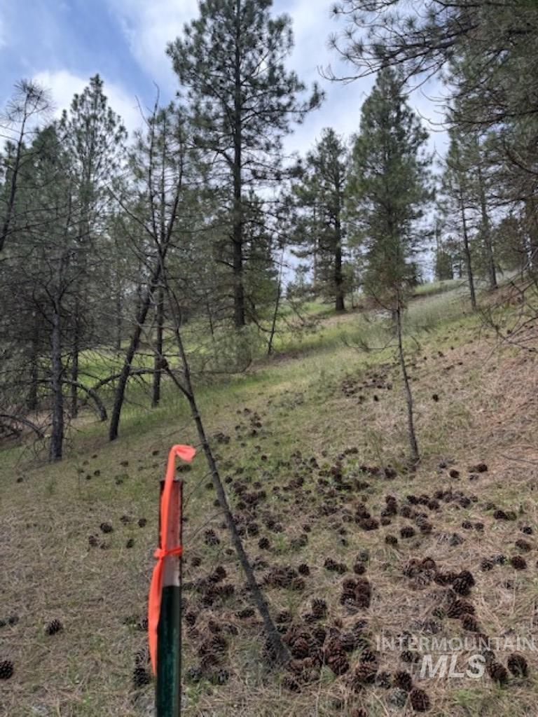 Lot 28 Fire Ridge Rd., Garden Valley, Idaho 83622, Land For Sale, Price $65,000, 98984441